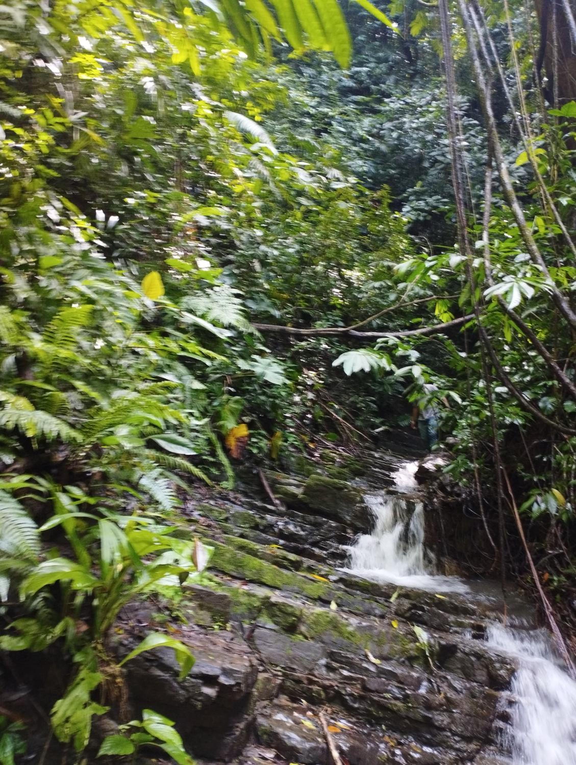 Finca Makambu