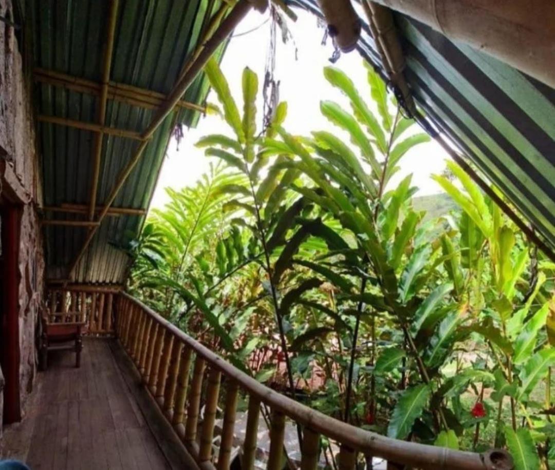 Hostal la roca de Minca