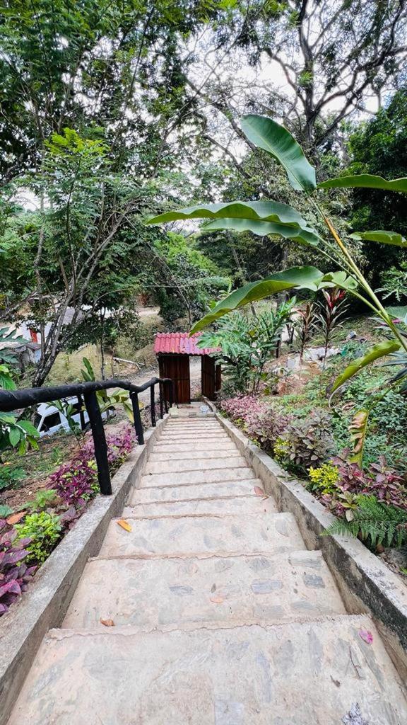 Hostal la roca de Minca