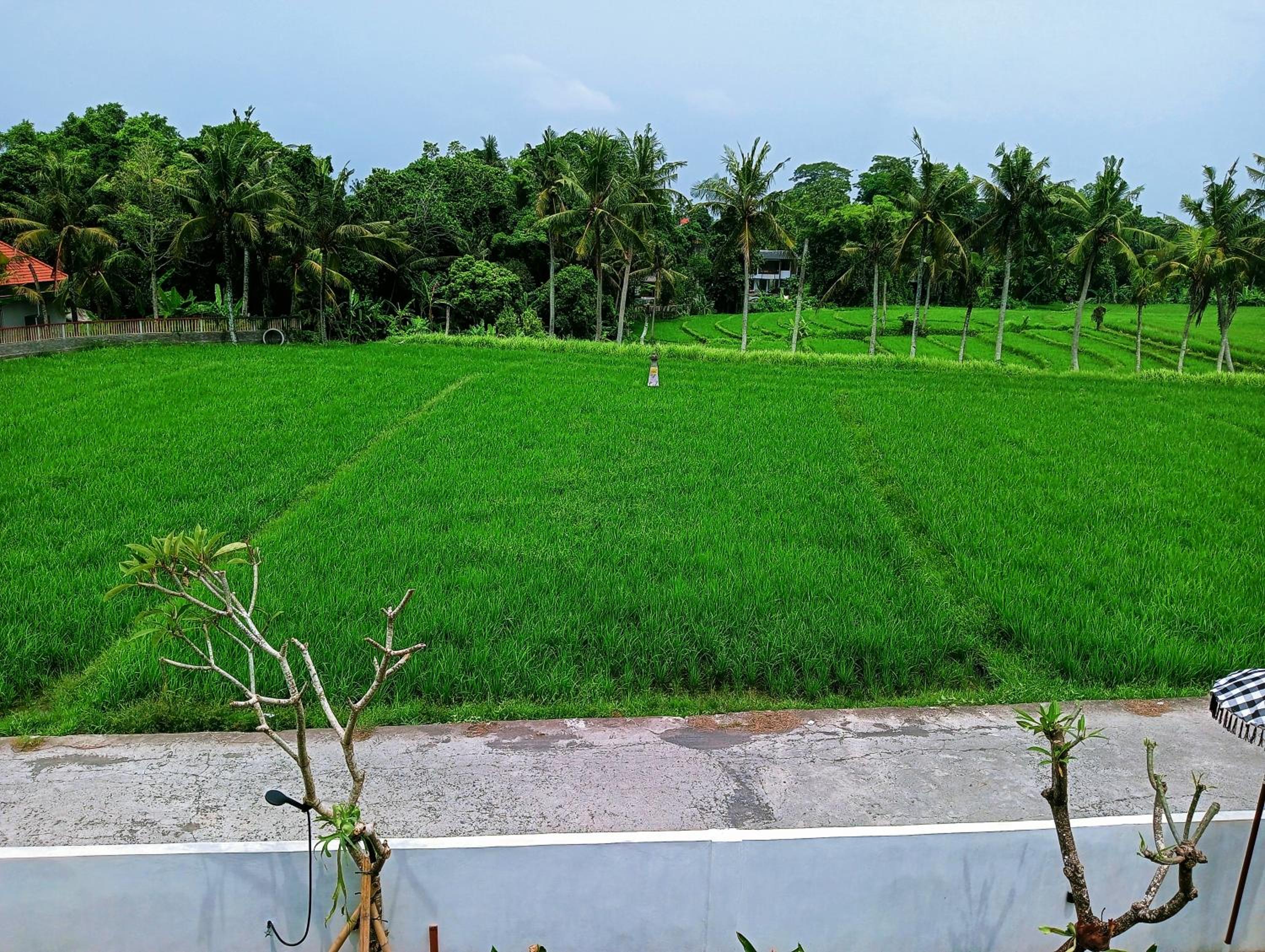 Henrynatha guesthouse