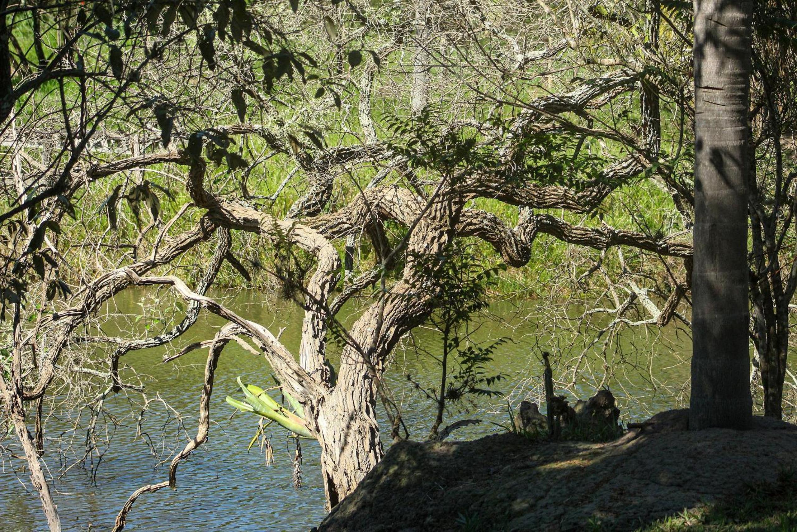 Chalé a beira de lago com churrasqueira em SP