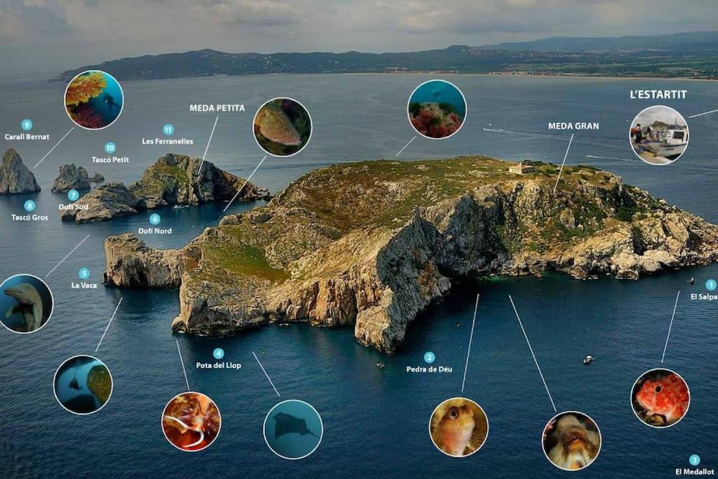 "Le Belvédère de la Mer" Résidence "Icaros" Wifi-Piscine-Pkg view 3