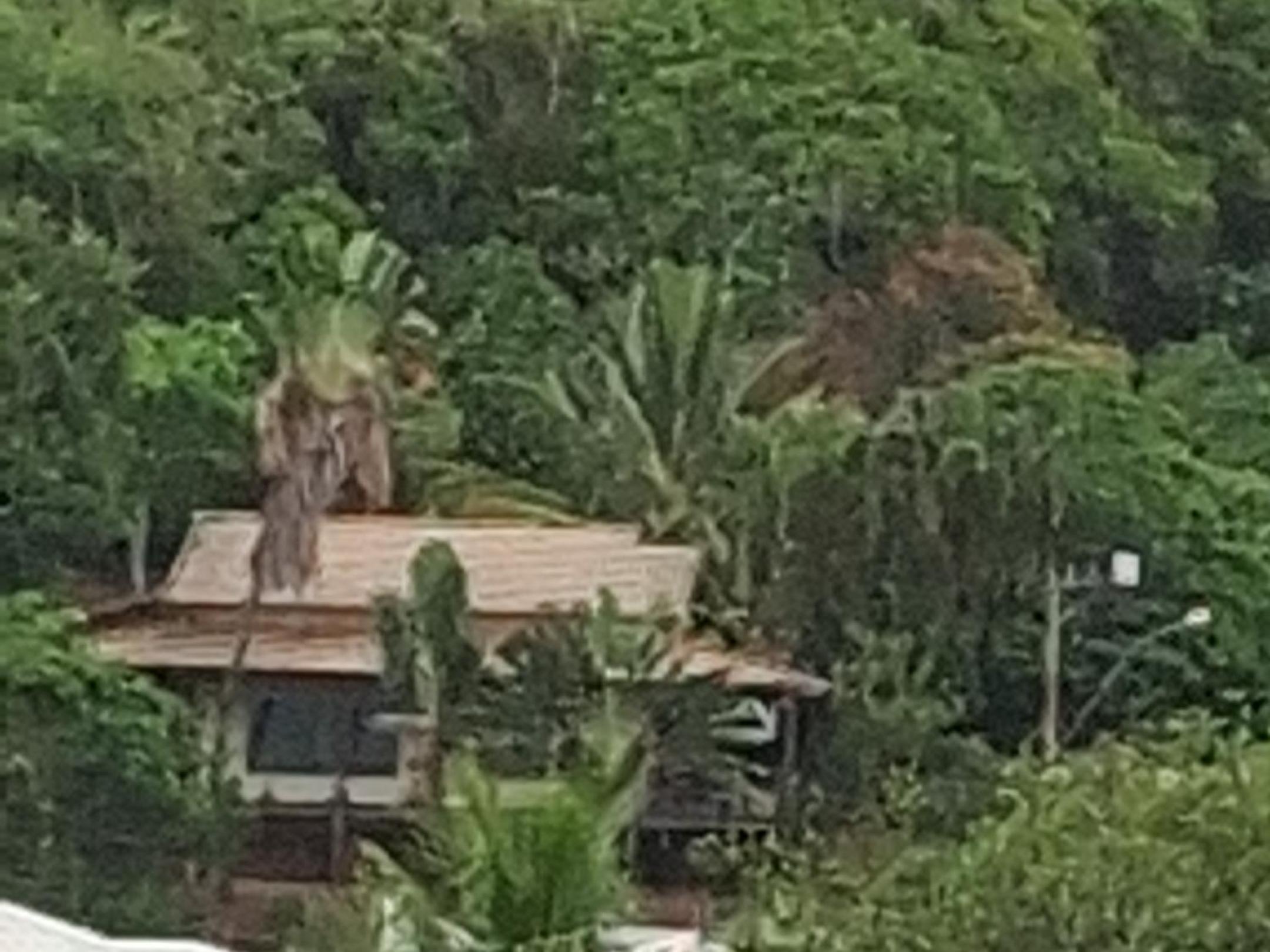 Casa da Praia Costazul