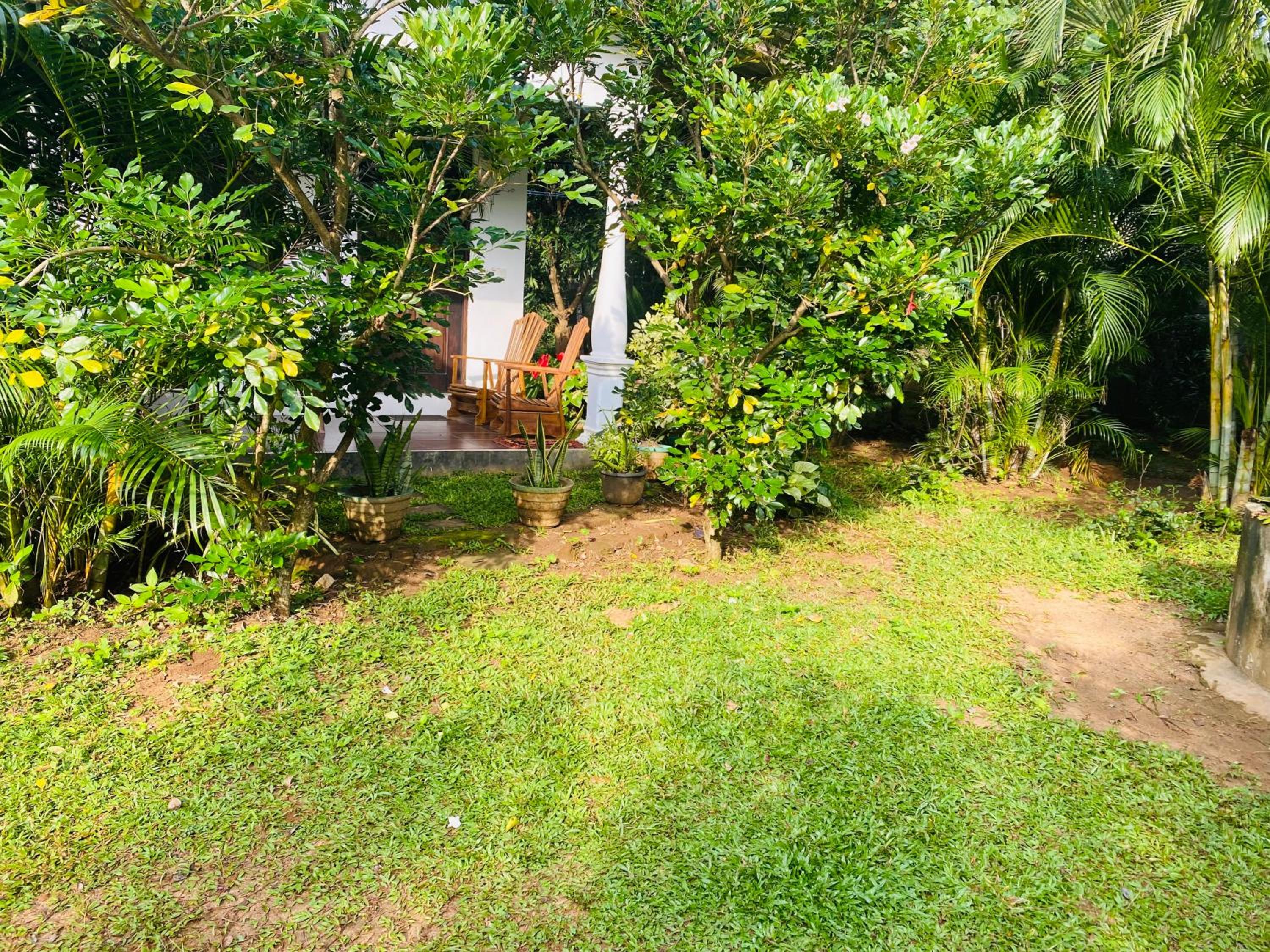 Fairview Dill homestay
