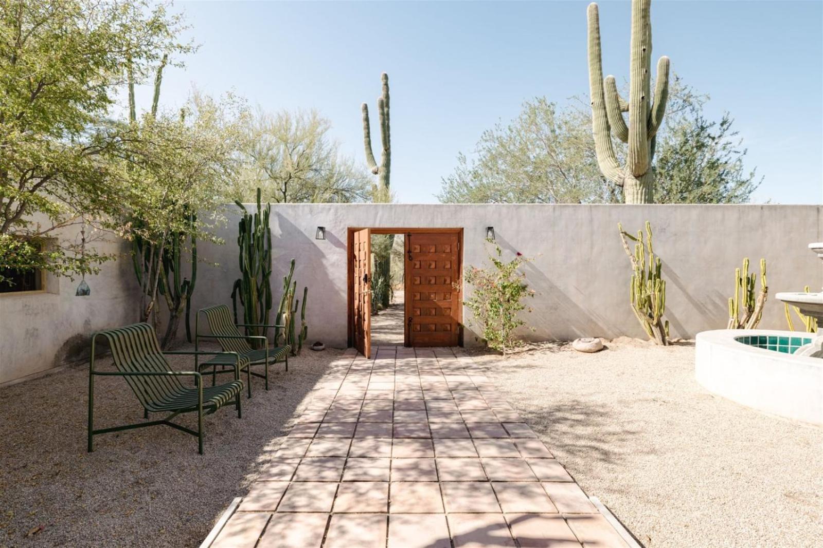 Encanto Saguaro