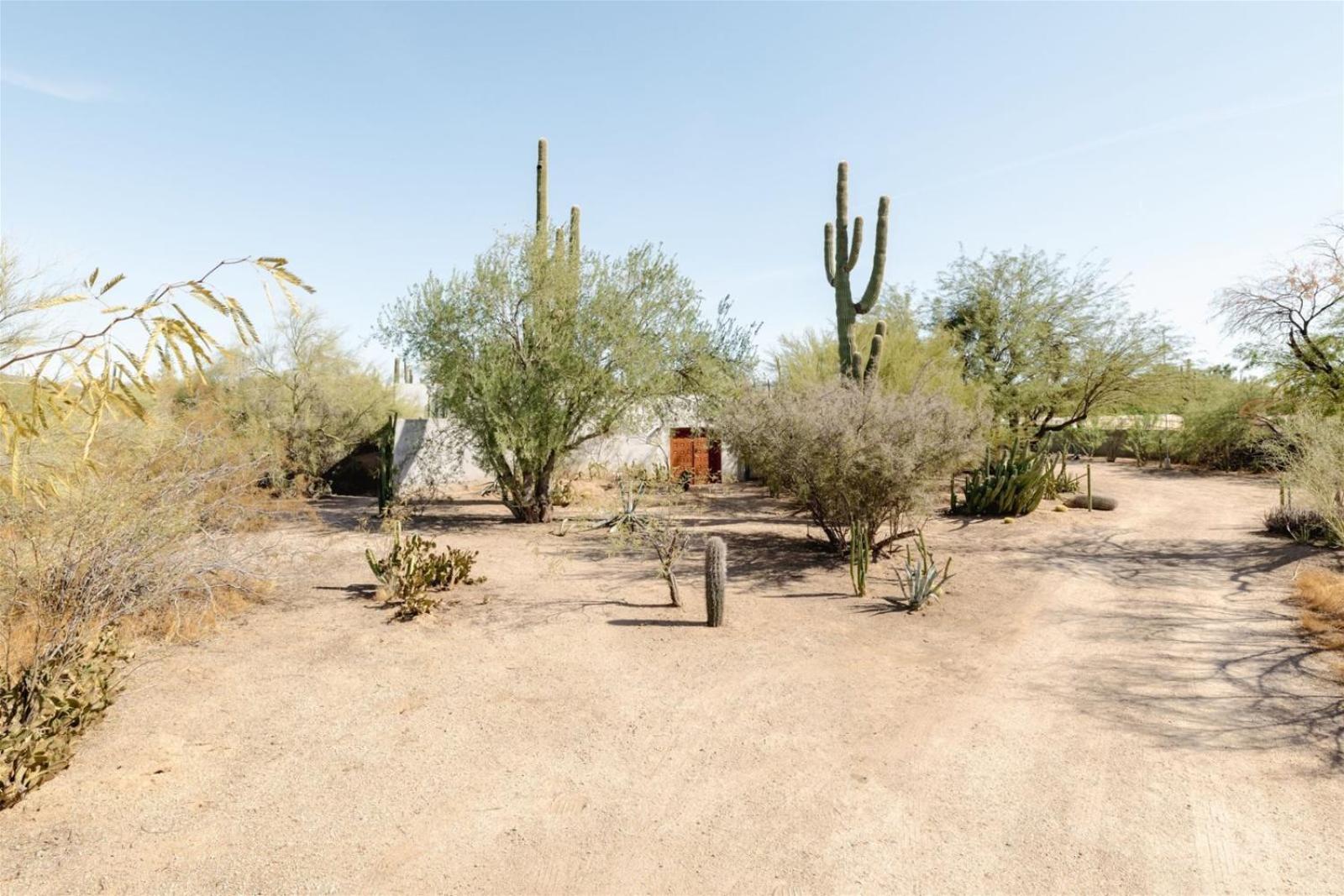 Encanto Saguaro