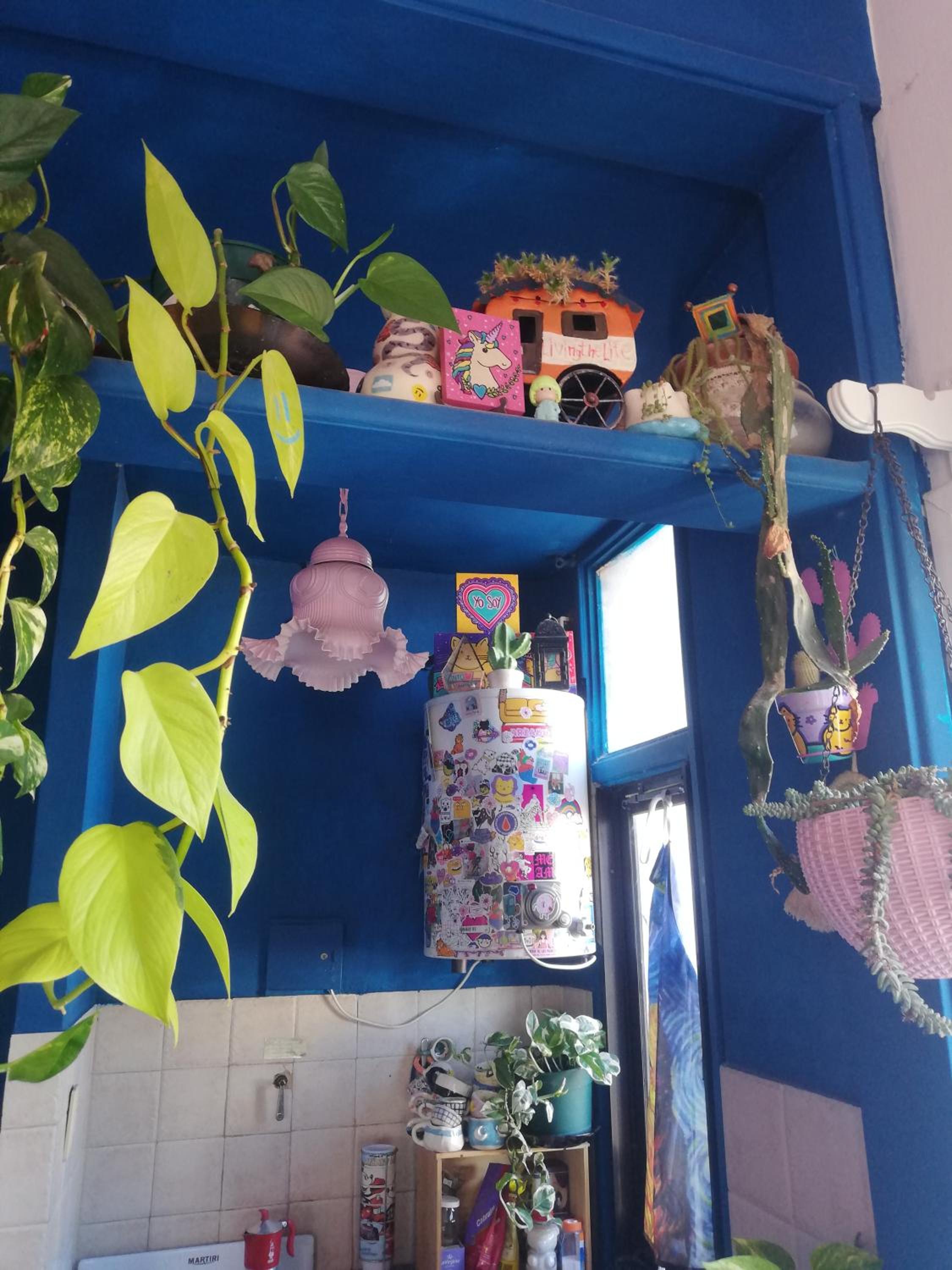 monoambiente luminoso