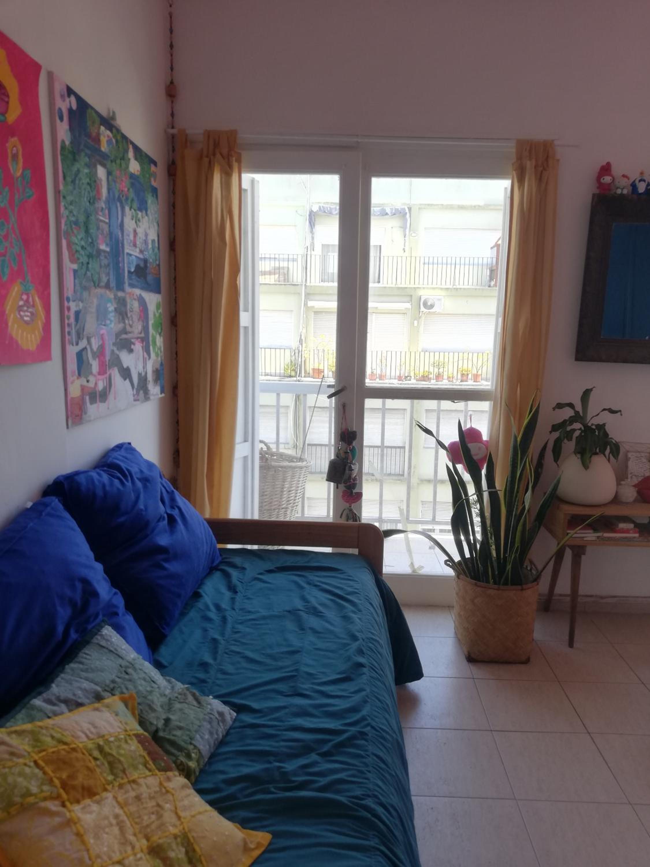 monoambiente luminoso
