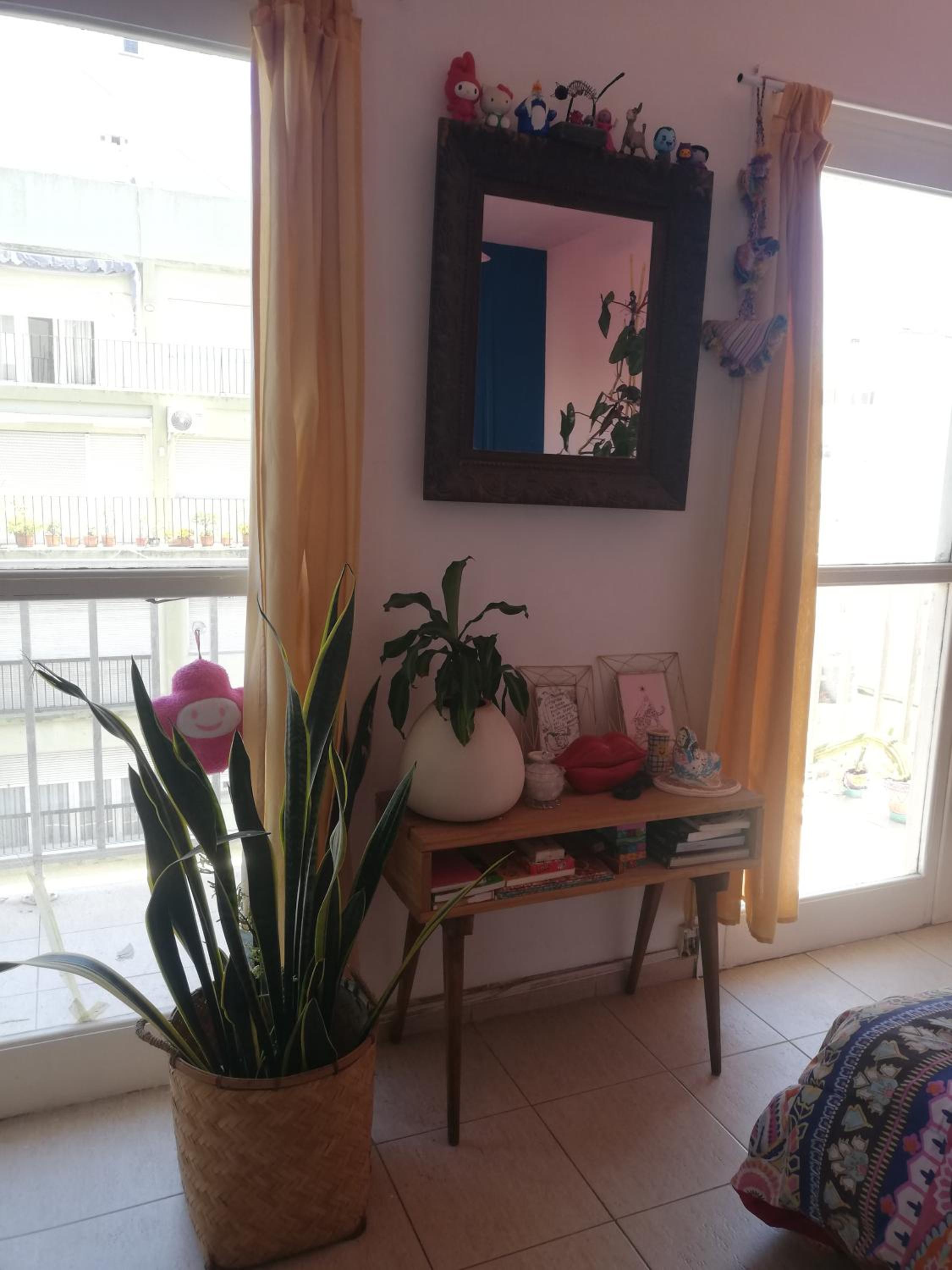 monoambiente luminoso