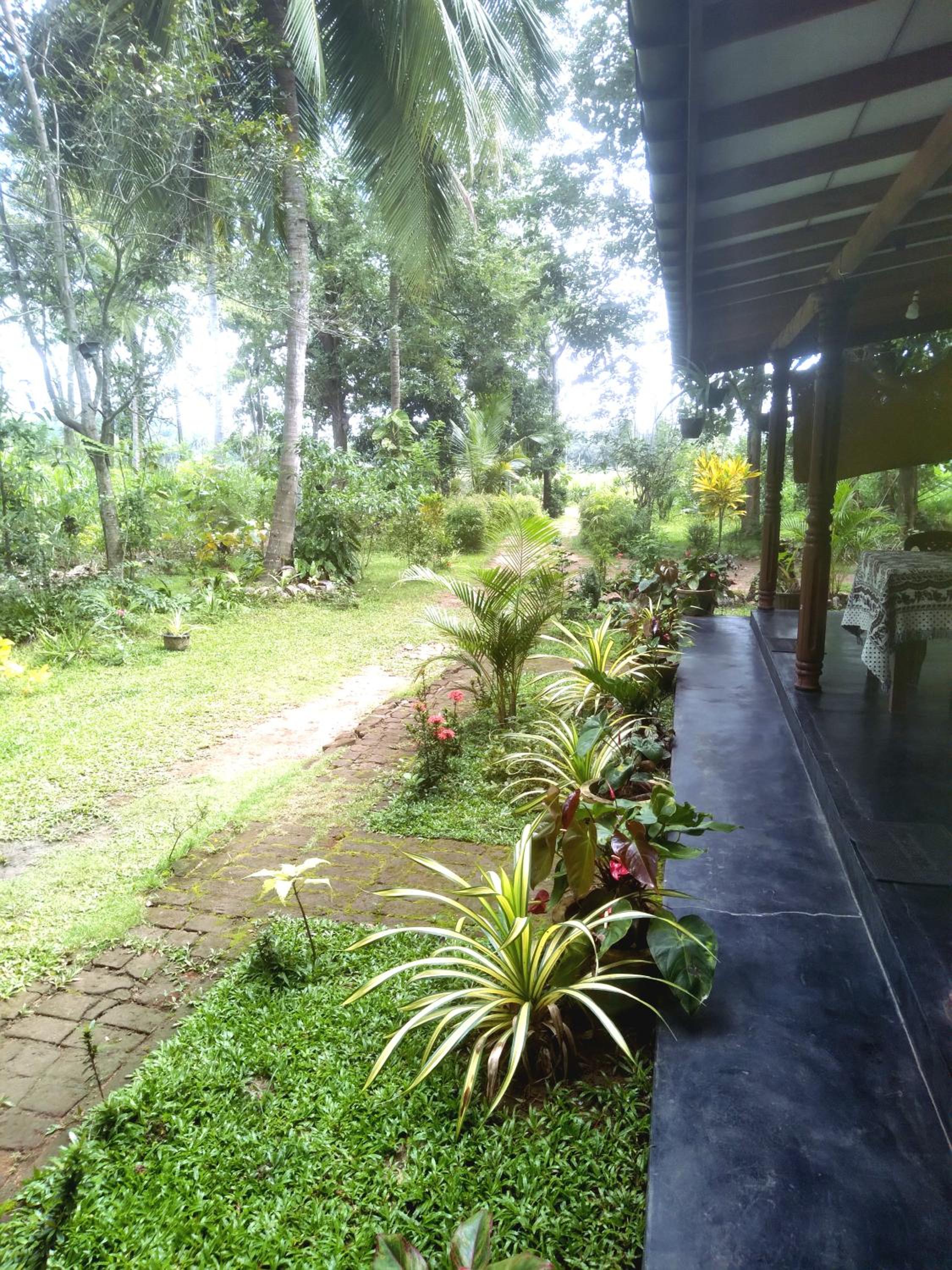 Sigiriya Hillside View Villa view 4