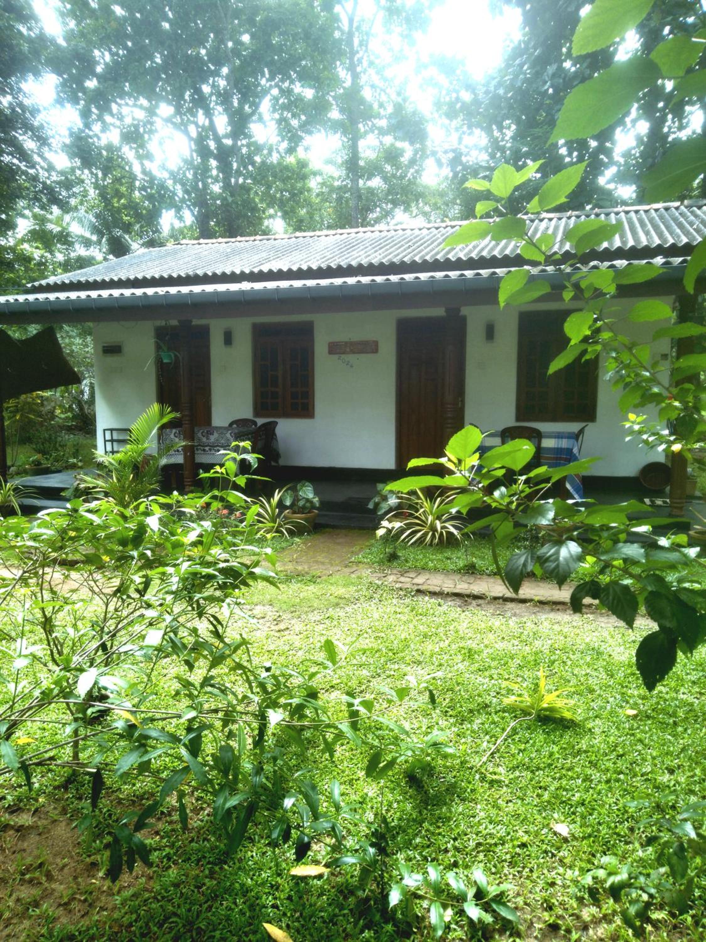 Photo 18