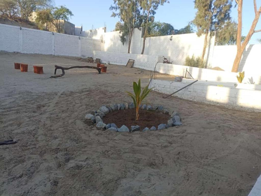 Photo 17
