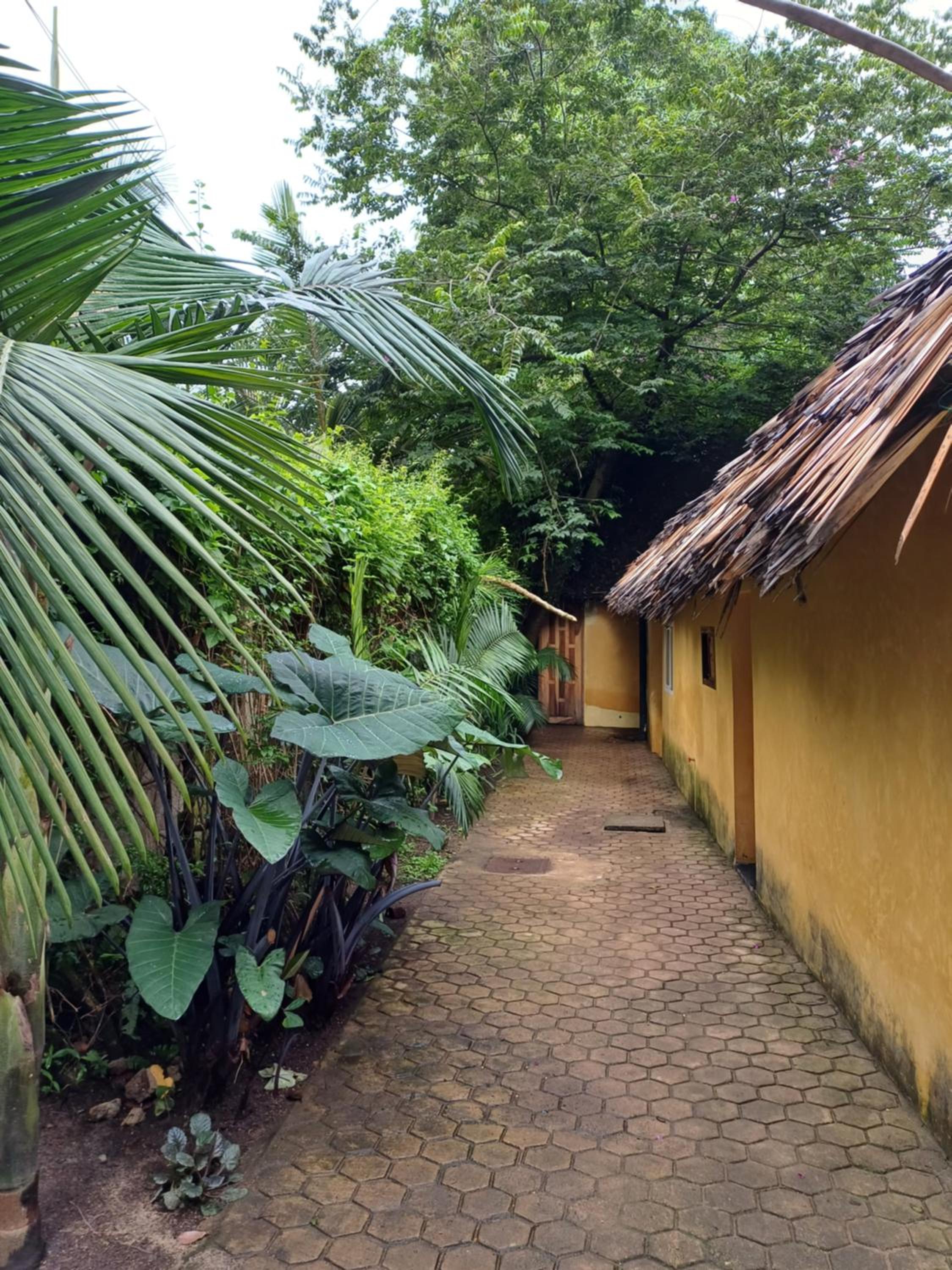 Green Garden Guest House view 4