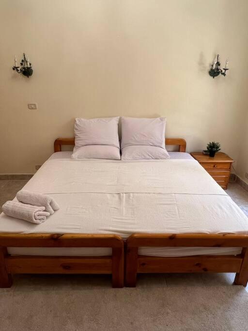 Cozy 1-Bedroom Apartment-New Cairo 1st Settlement