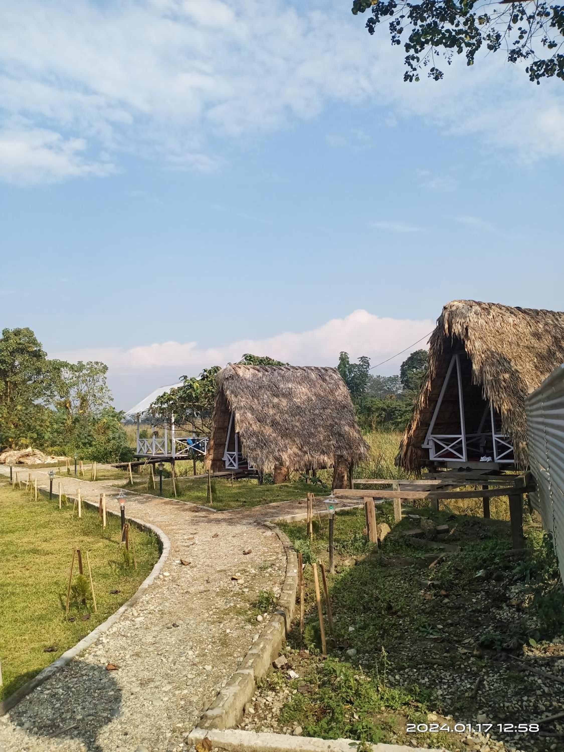 Wood Town Resort