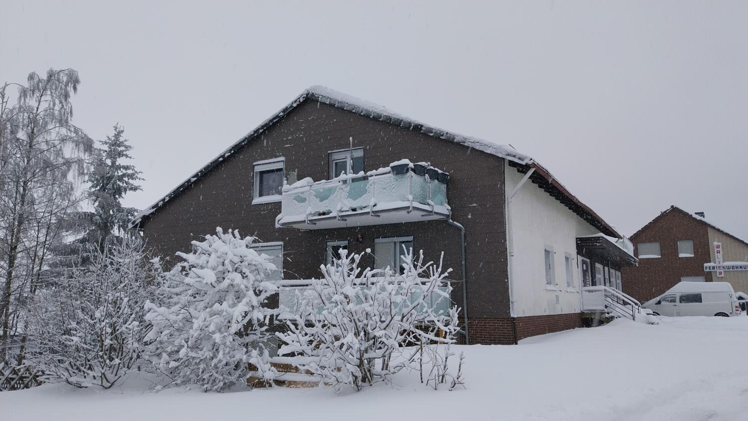 Harzstern