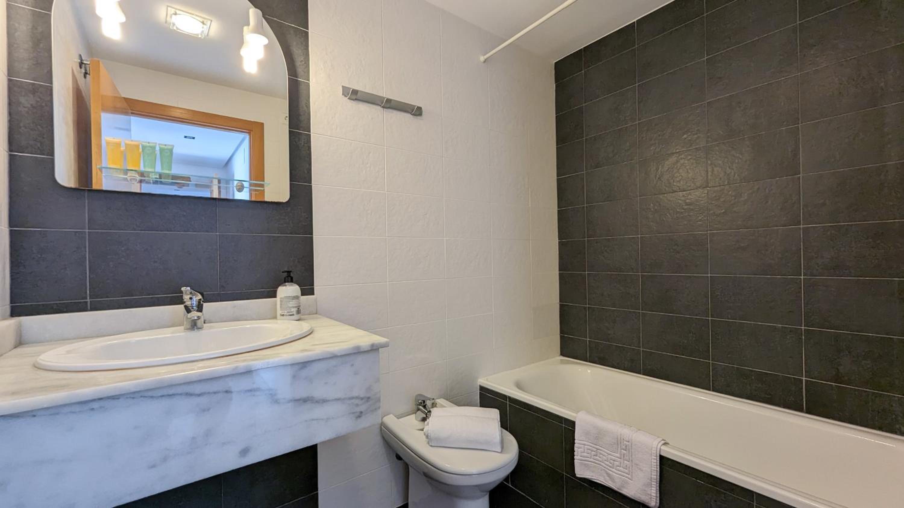 TORRE LUGANO sea view apartment
