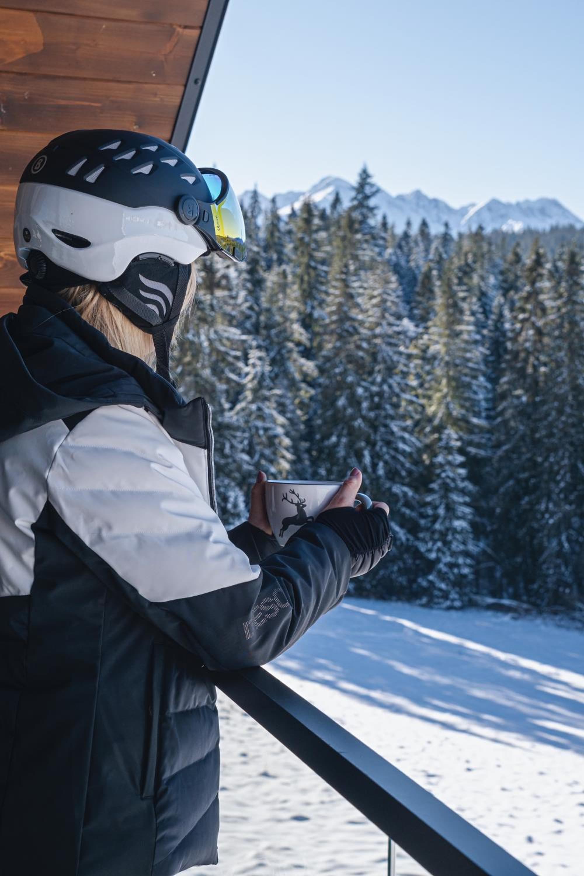 Pensjonat Orlik Mountain Resort&SPA
