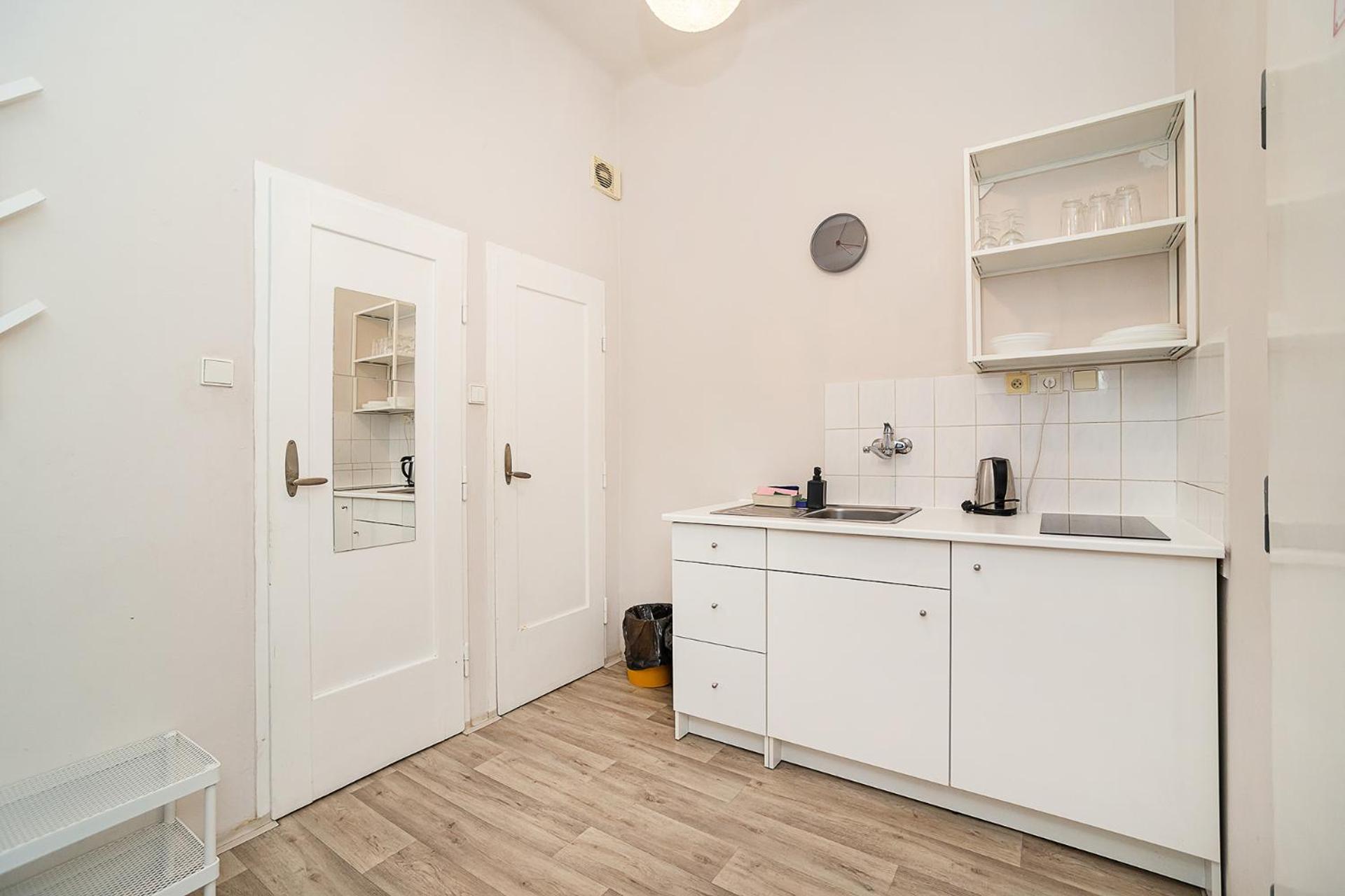 Flat in Zizkov -101-
