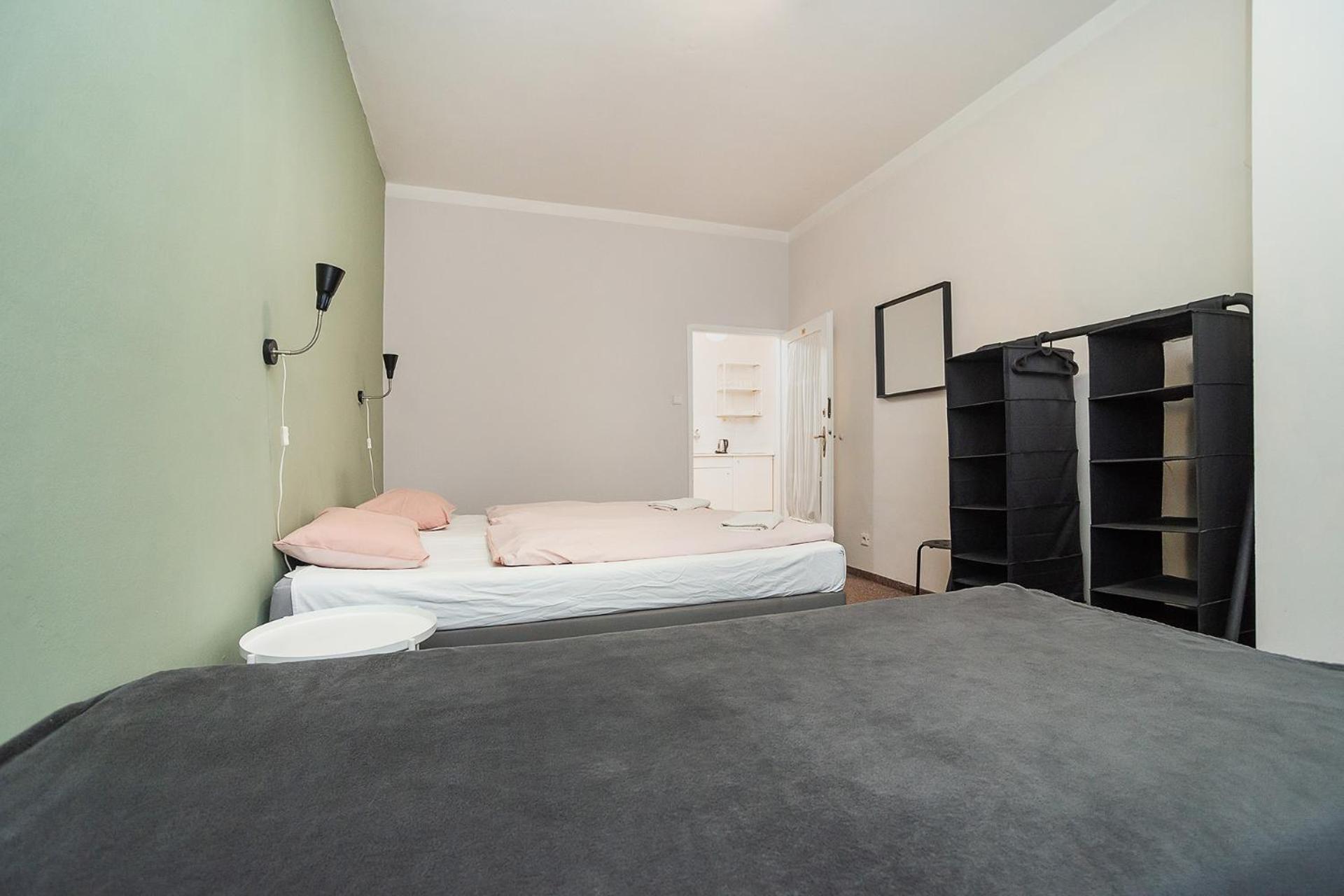 Flat in Zizkov -101-