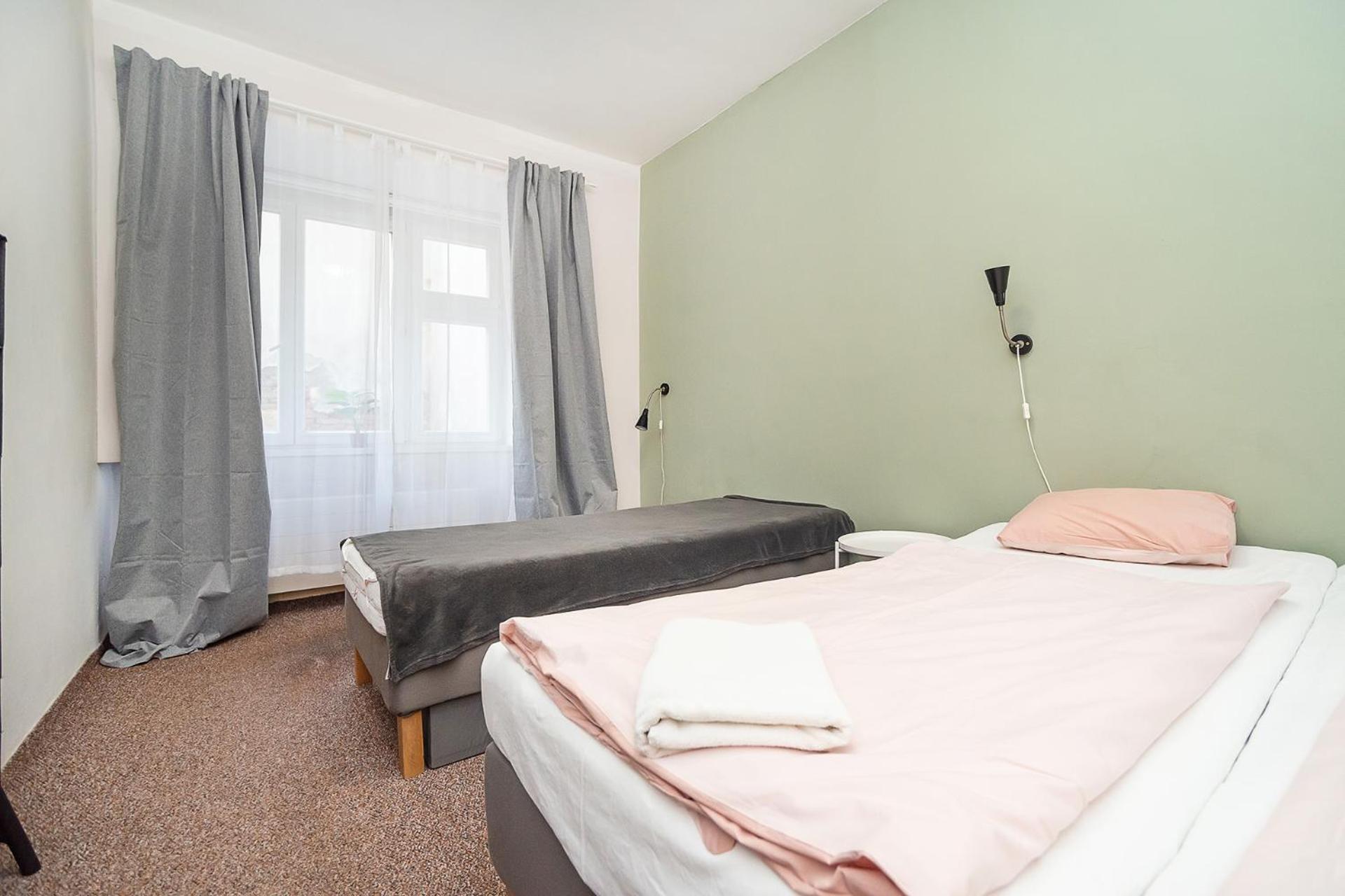 Flat in Zizkov -101-