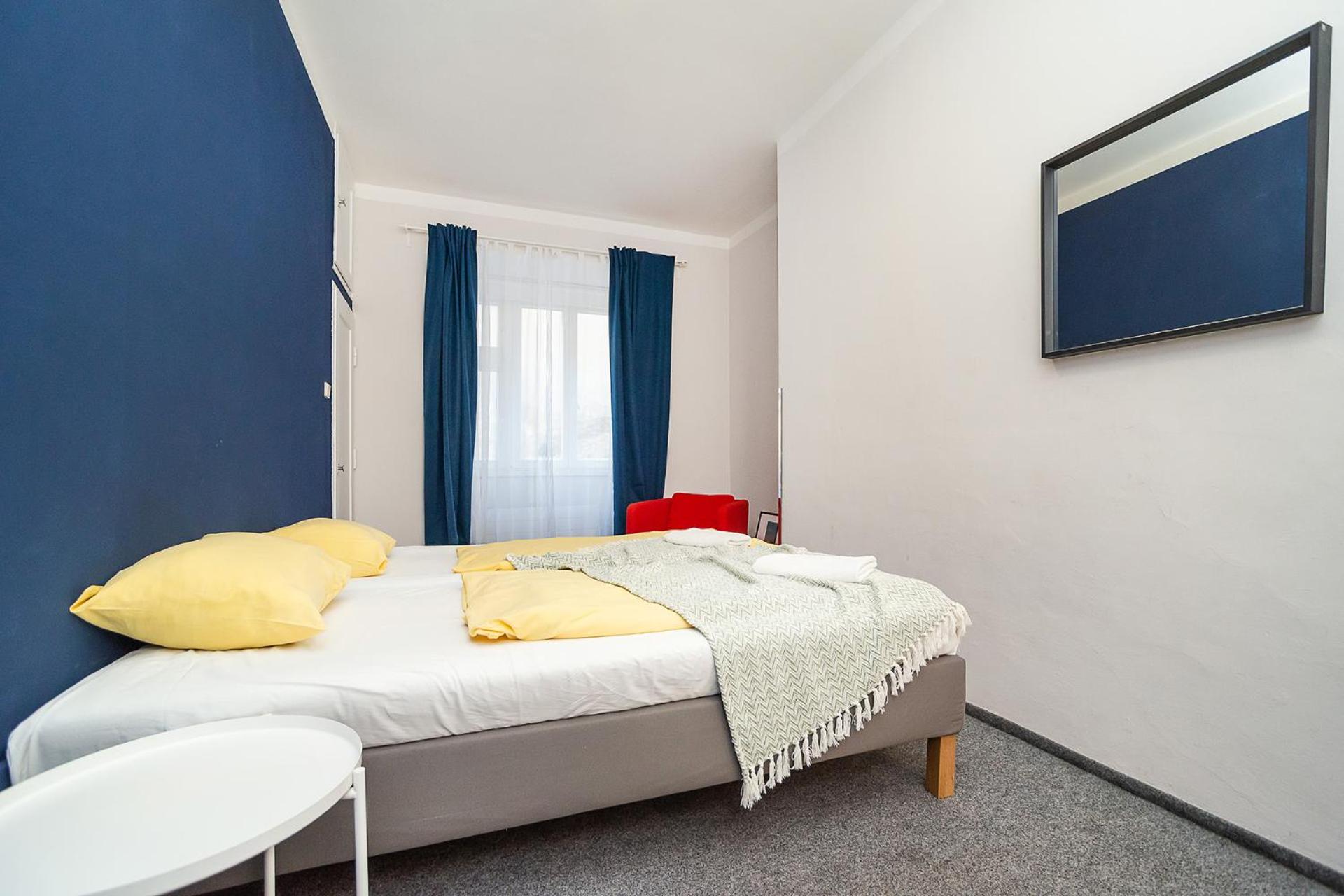 Flat in Zizkov -101-