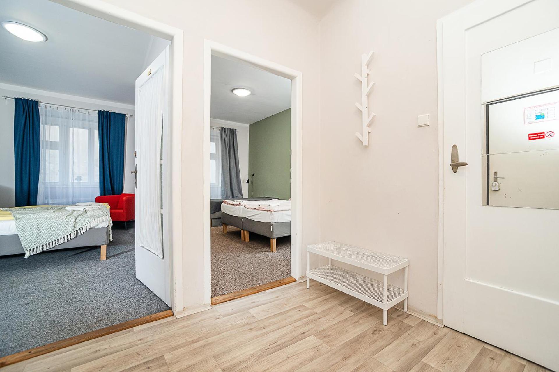 Flat in Zizkov -101-