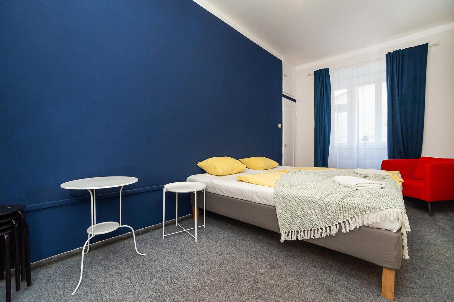 Flat in Zizkov -101-