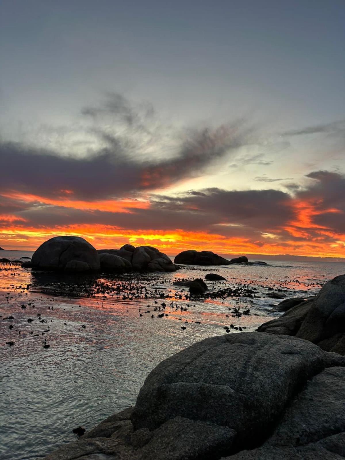 Mettahouse Cape Town
