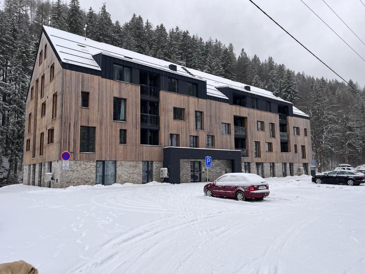 Apartmán Herlíkovice 303
