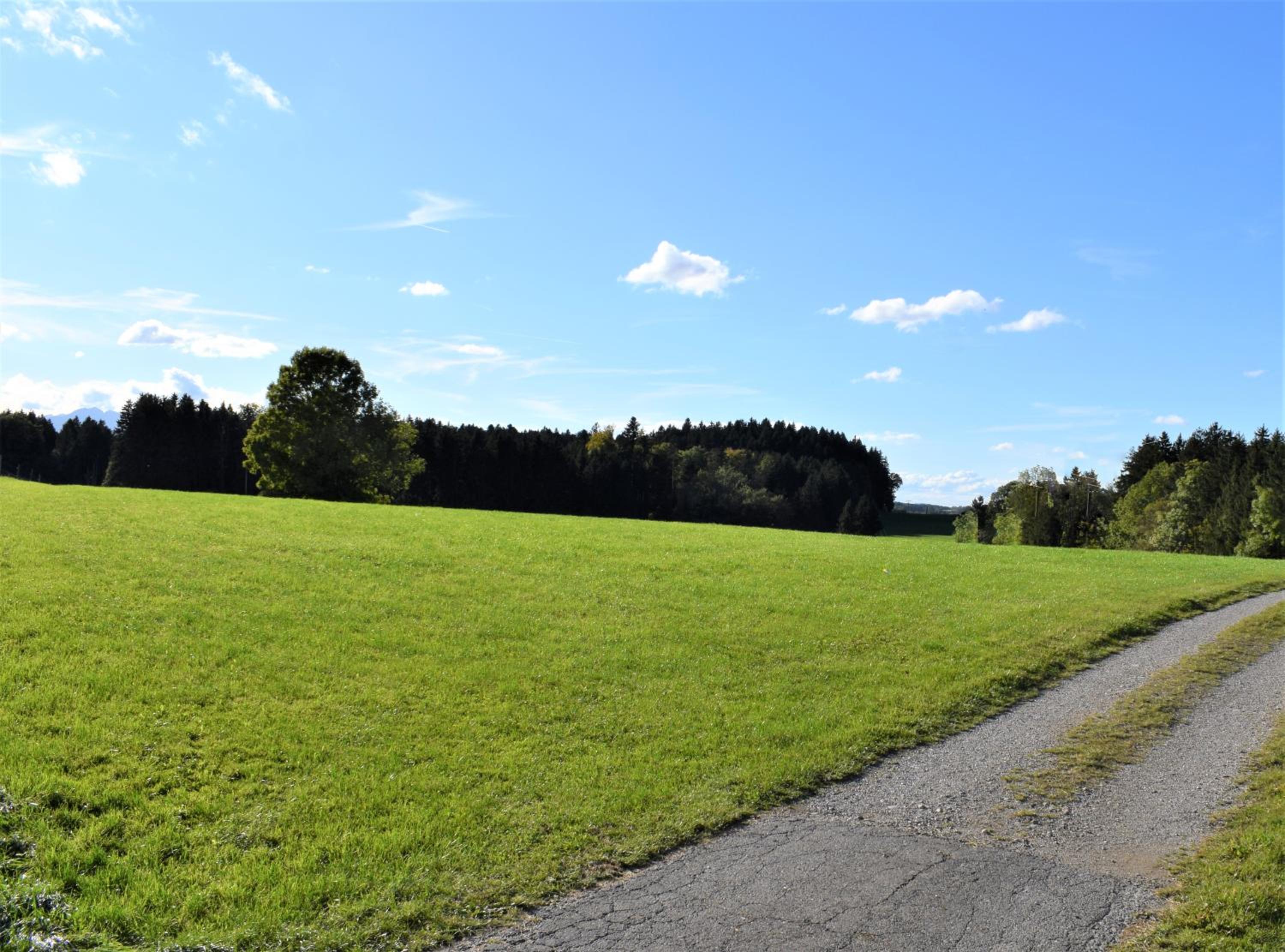 Ferienwohnung Thalhammer
