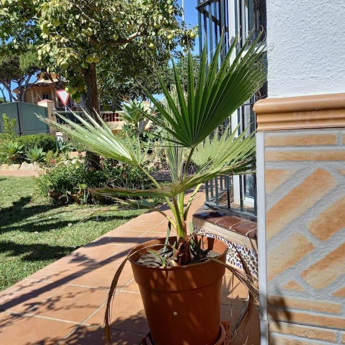 Beach house near Tennis Club La Barrosa