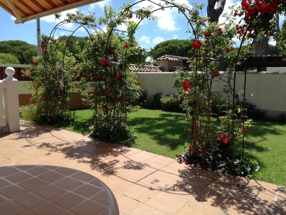 Beach house near Tennis Club La Barrosa