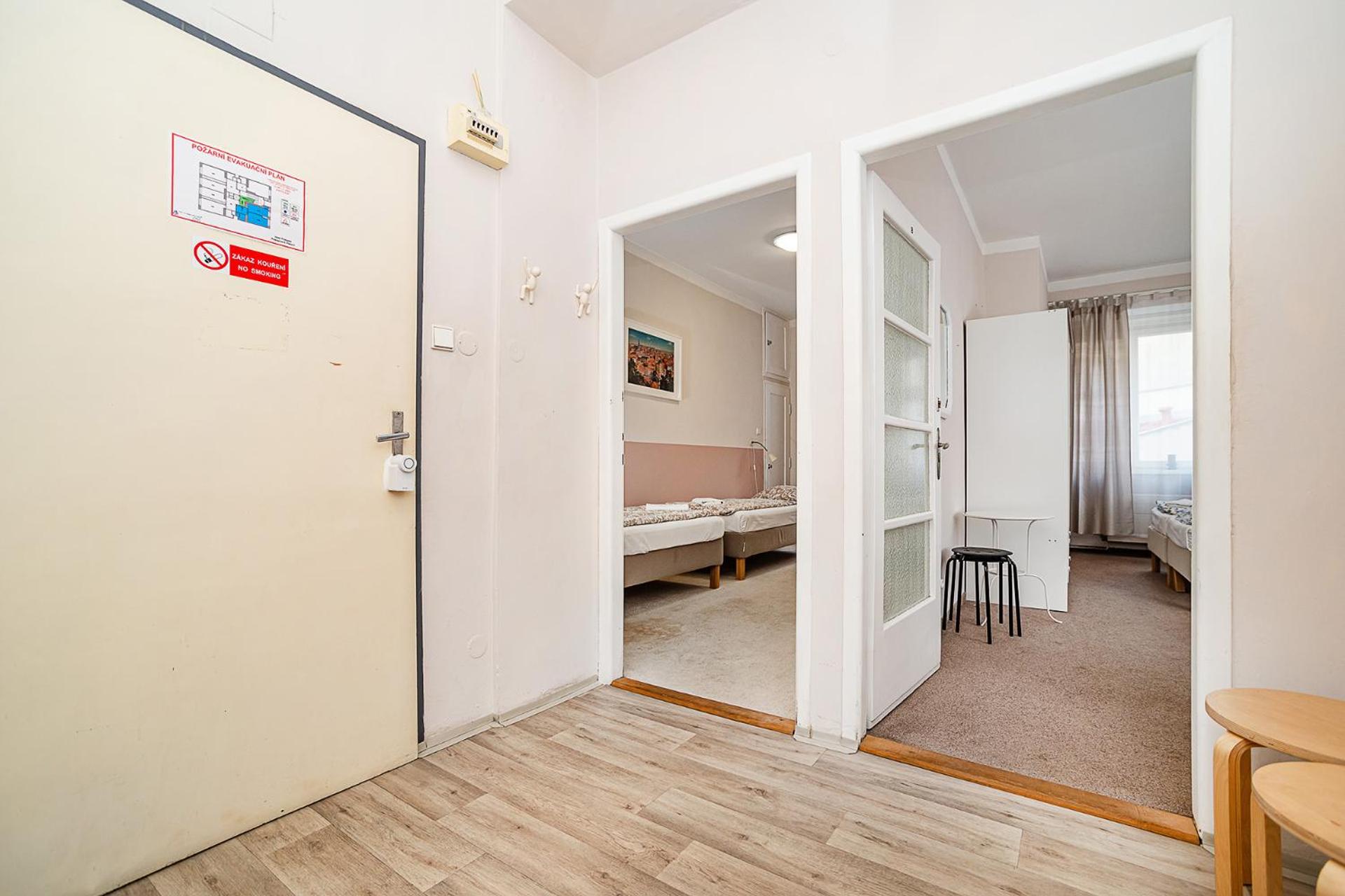 Apartment in Zizkov -201-