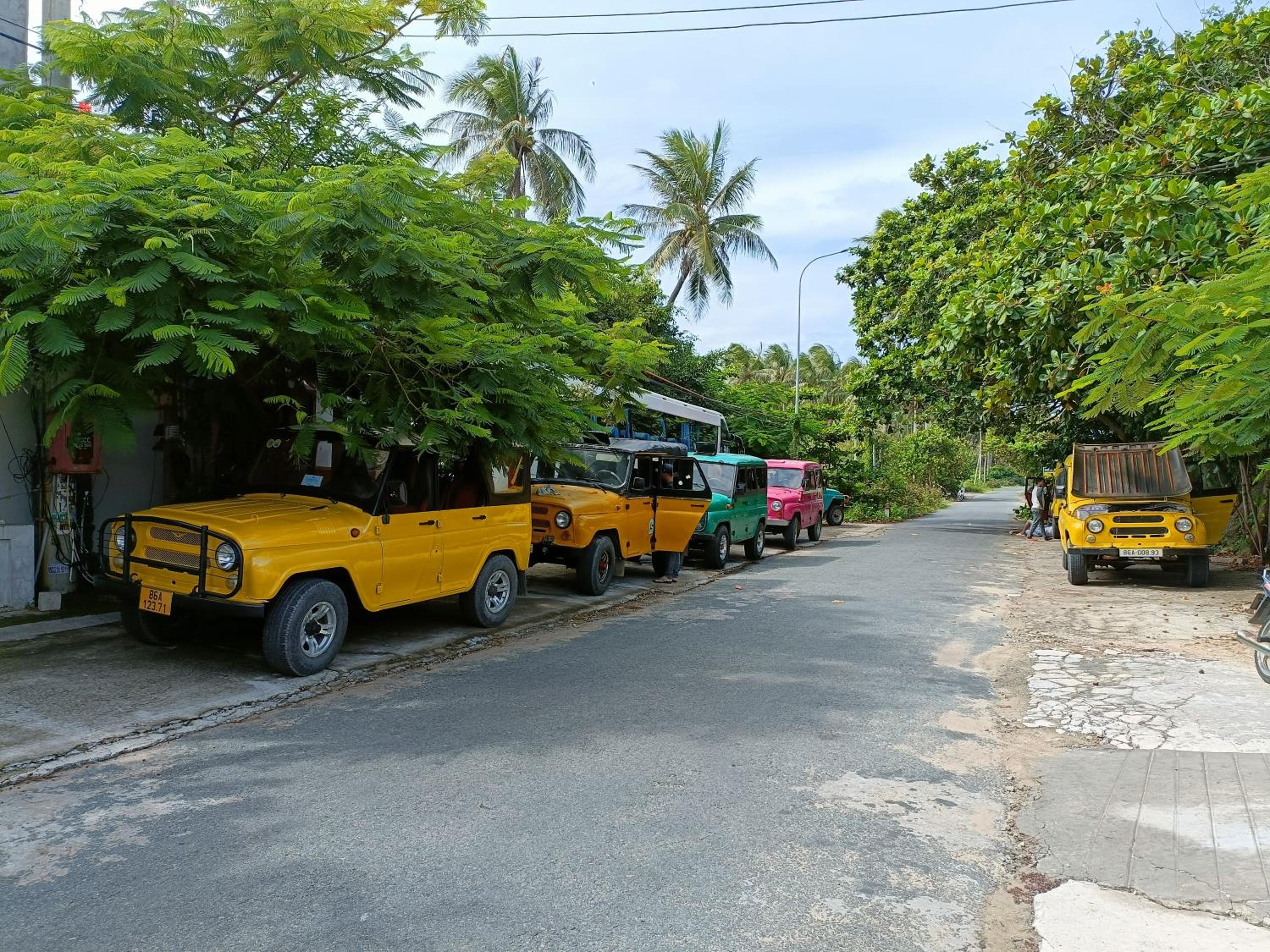 Photo 56