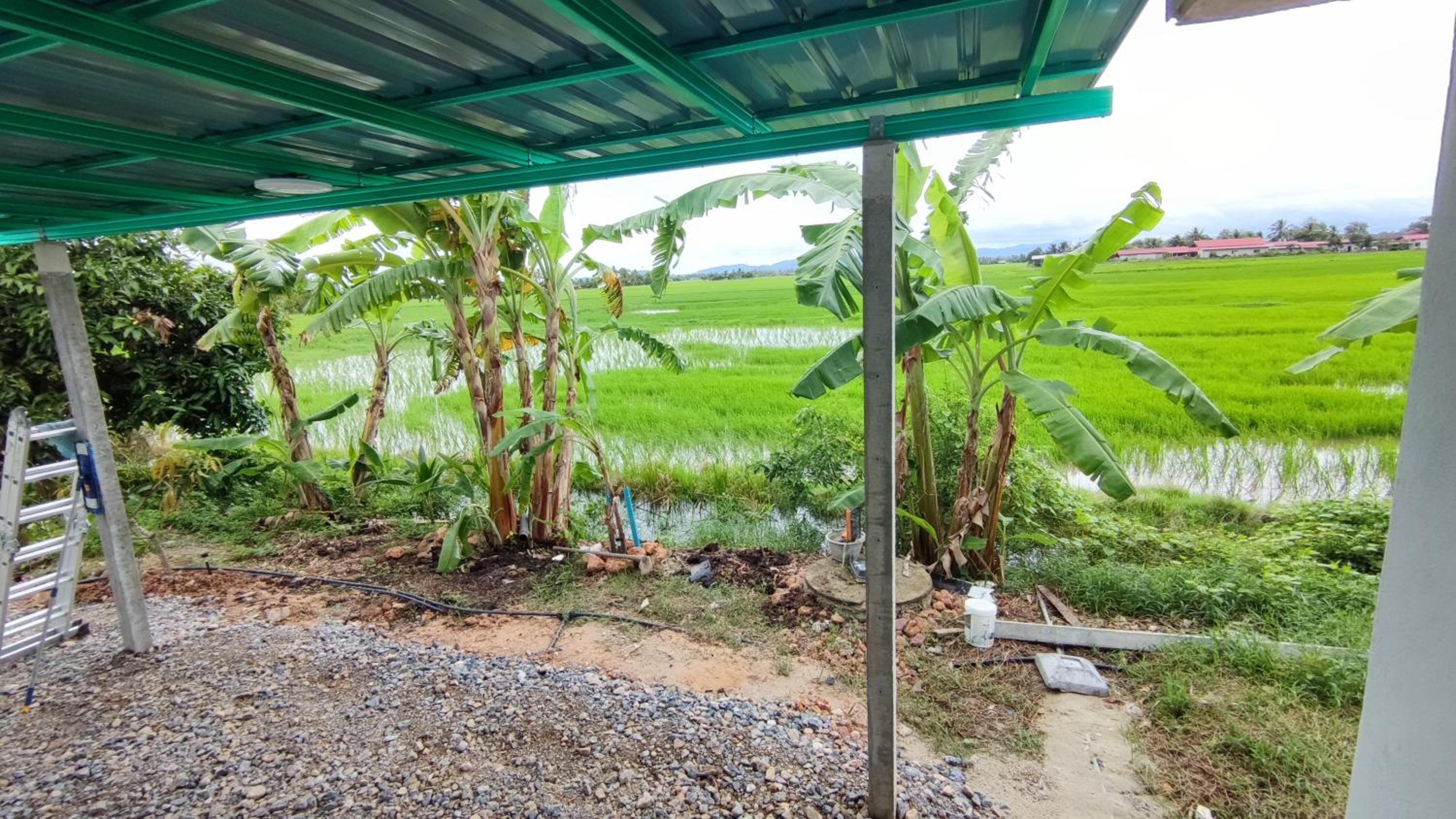 Homestay Schemumarc photo 5