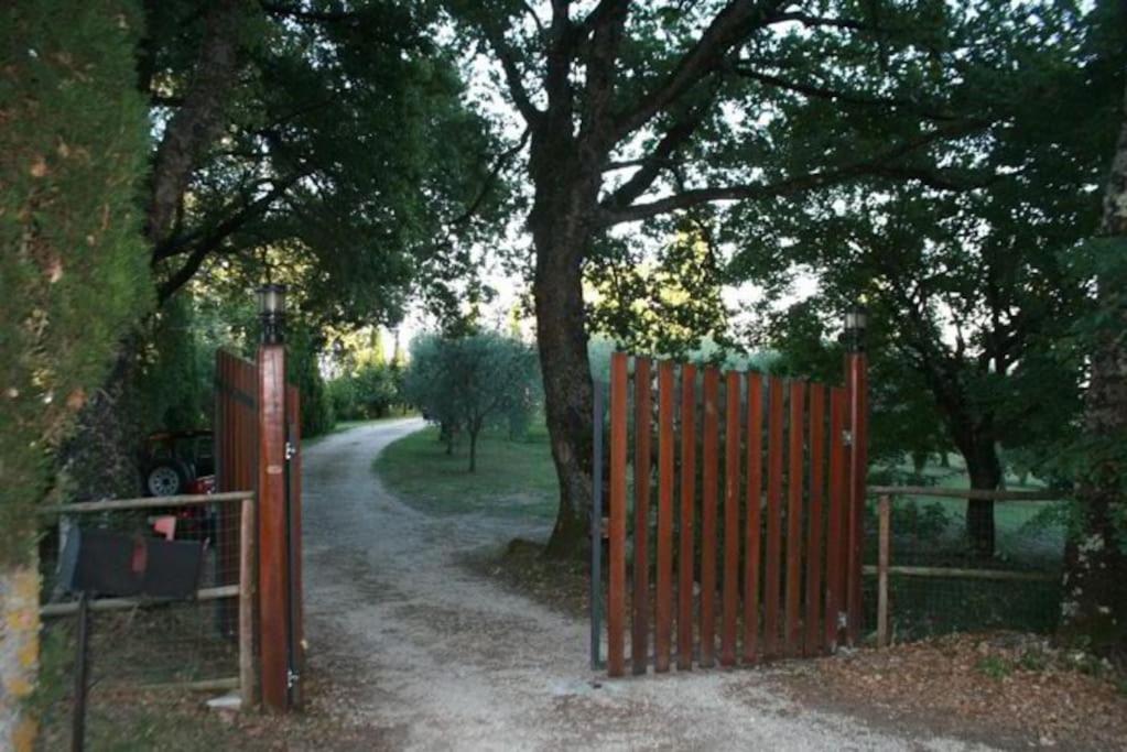 Photo 23