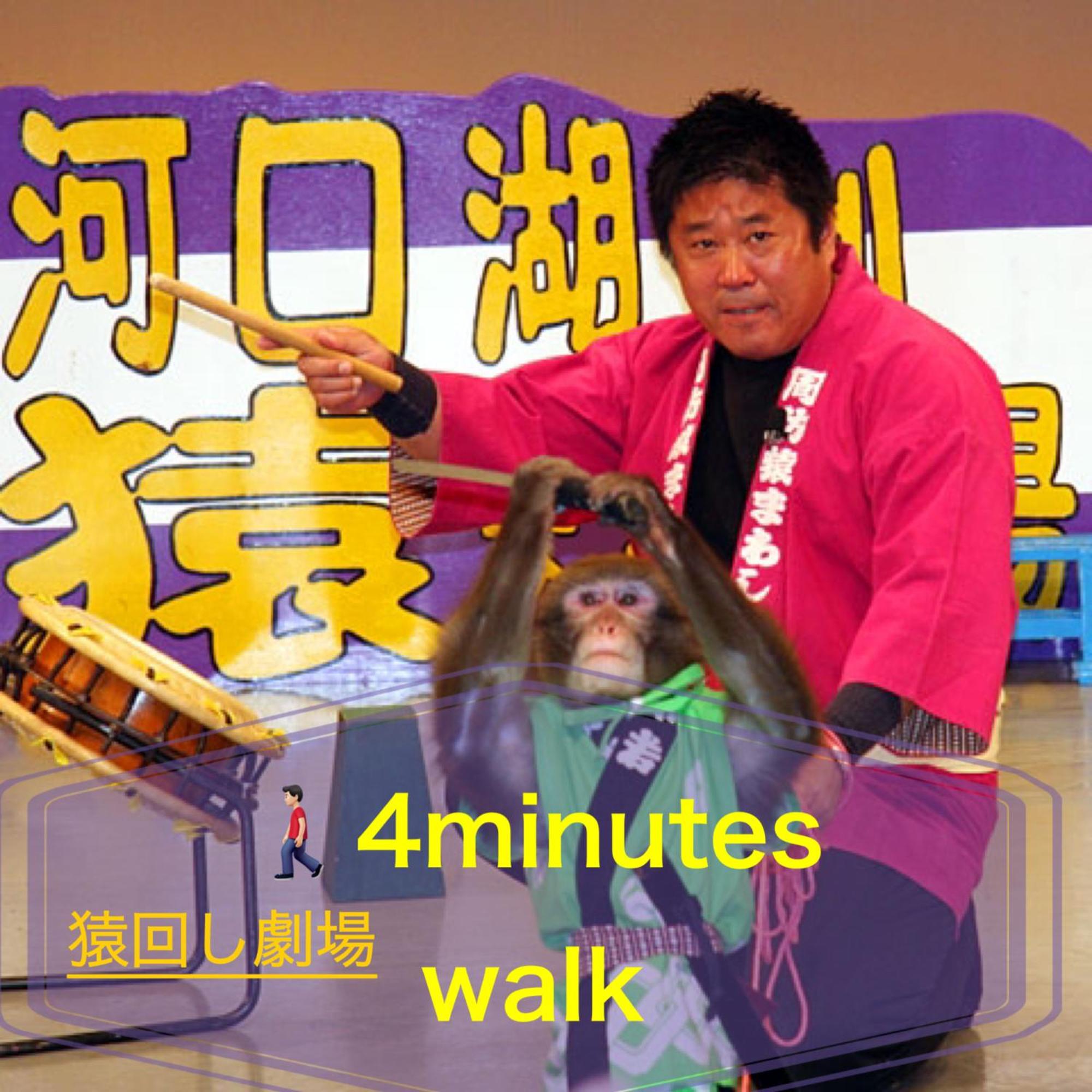 Photo 44