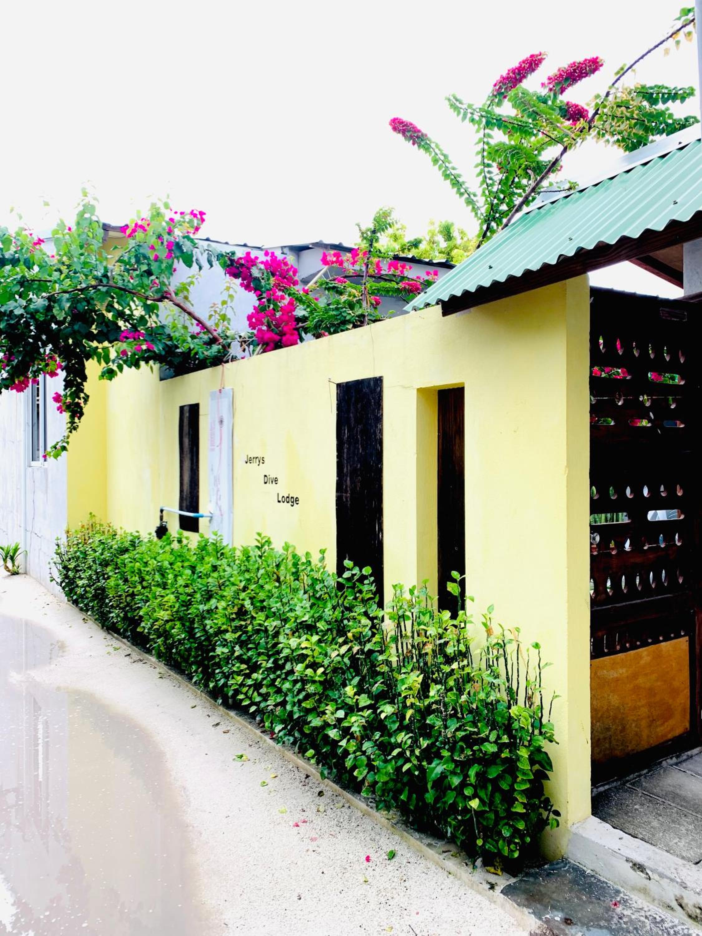 Jerrys Dive Lodge Rasdhoo photo 3