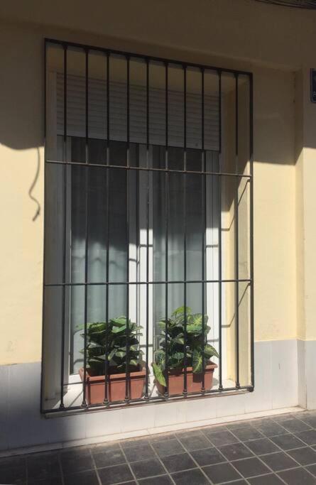Wivi Valencia