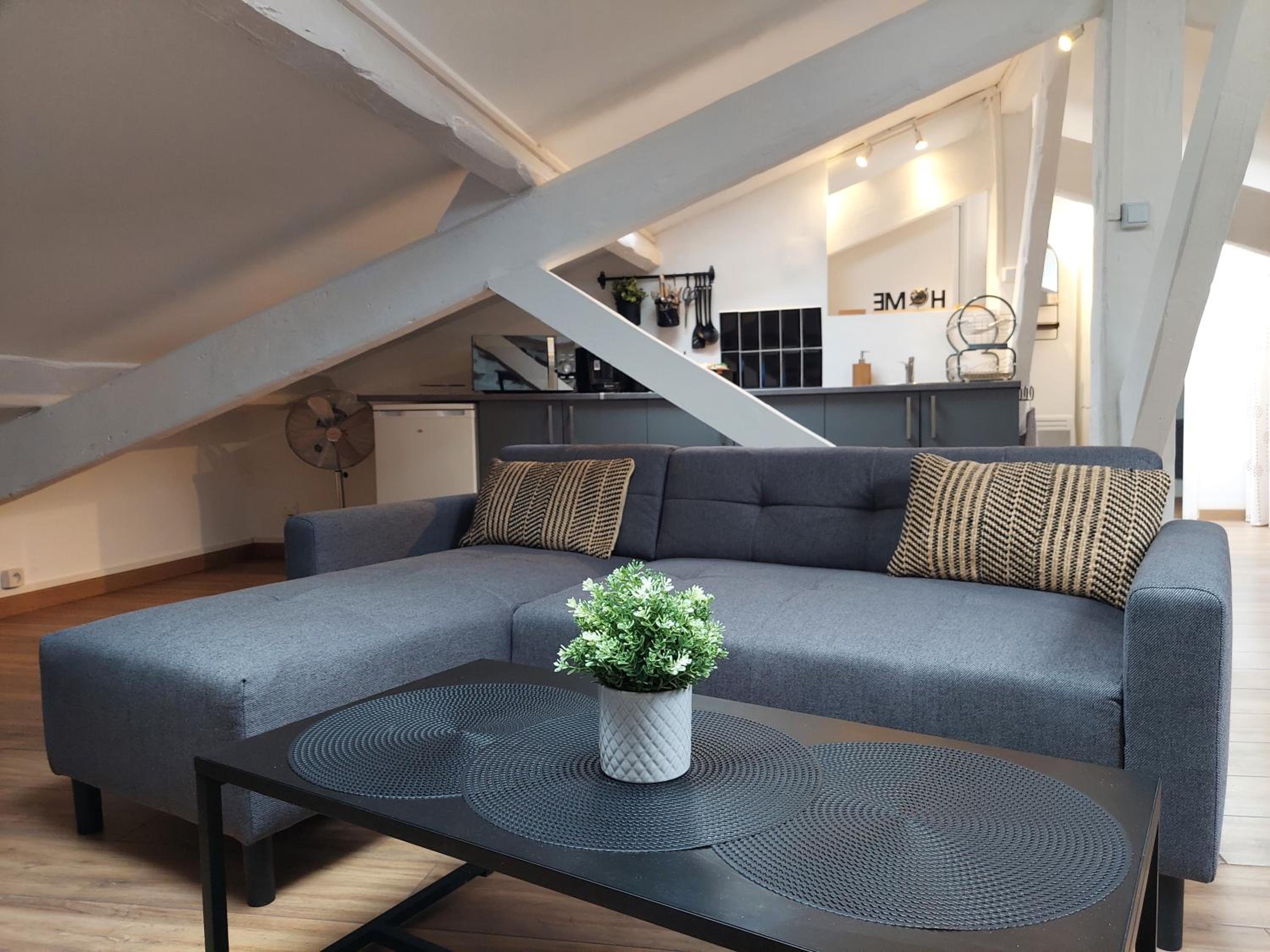 Loft Cosy NICE centre ville