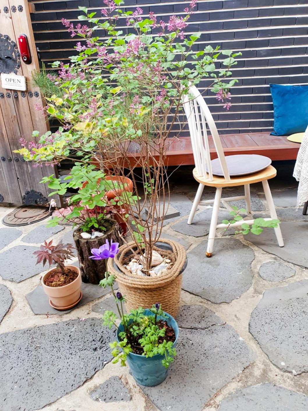 Haenggung stay Dalno - Suwon private house hanok view 2