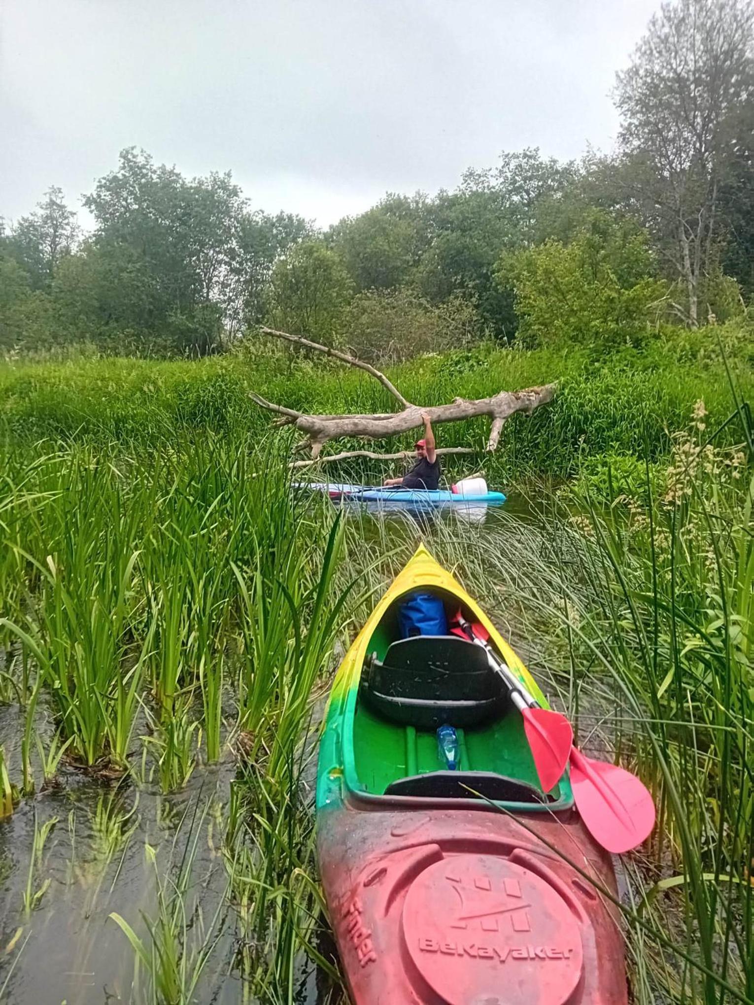 Svečių namelis