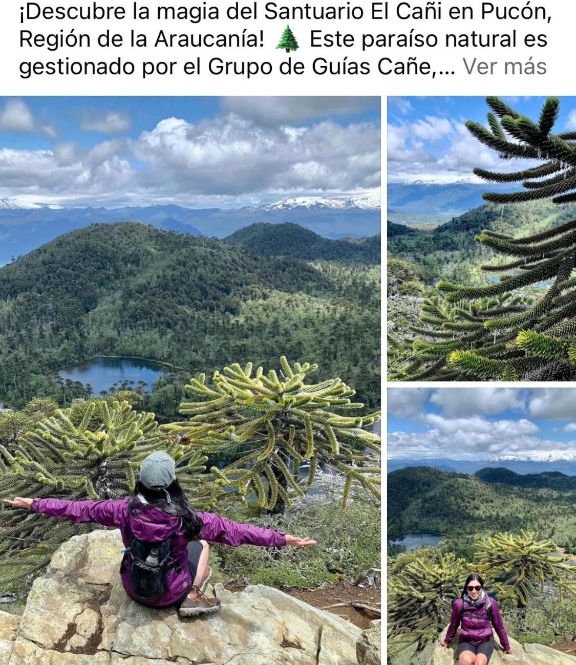 Hostal Rinconada