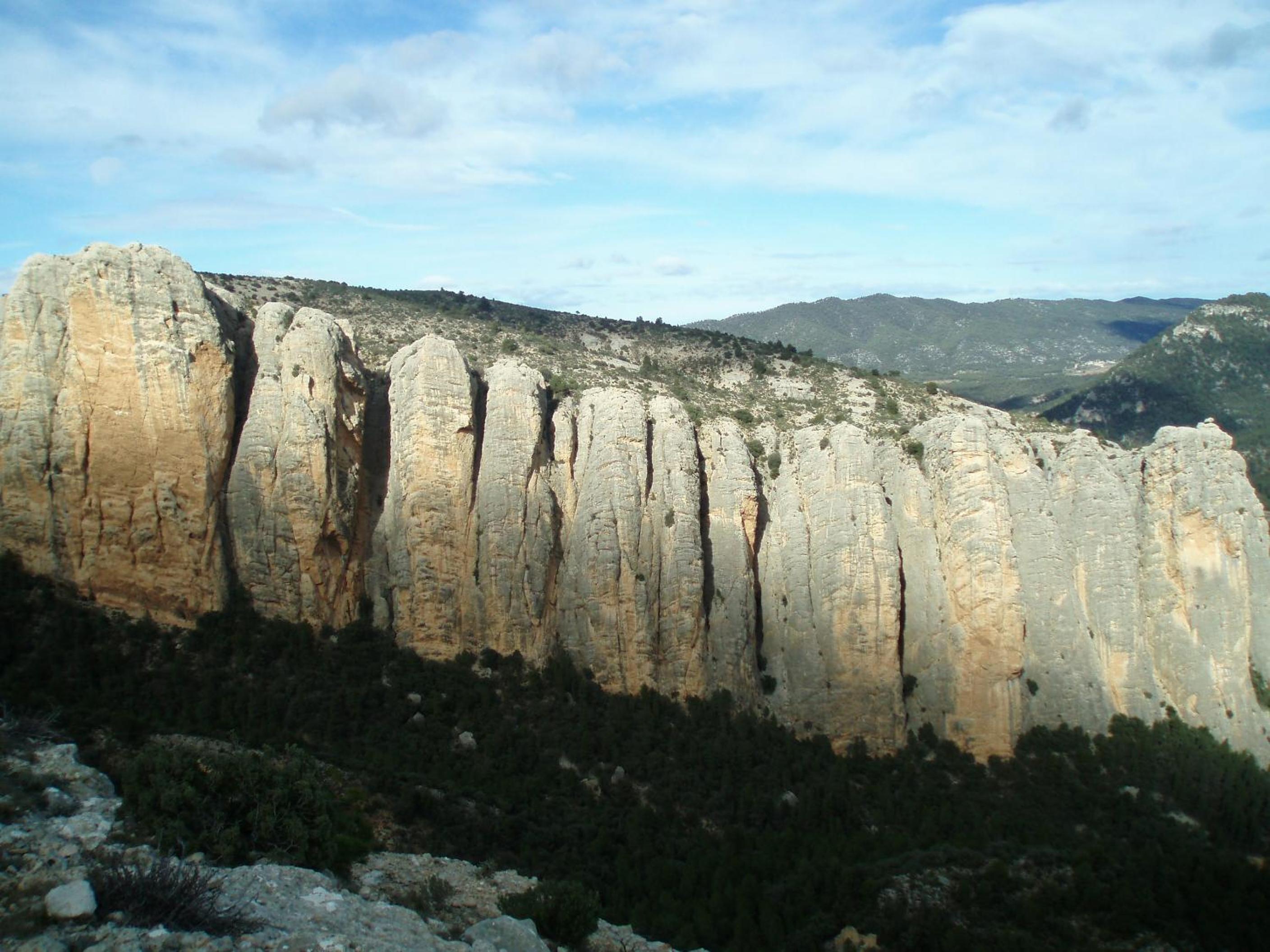 Photo 48