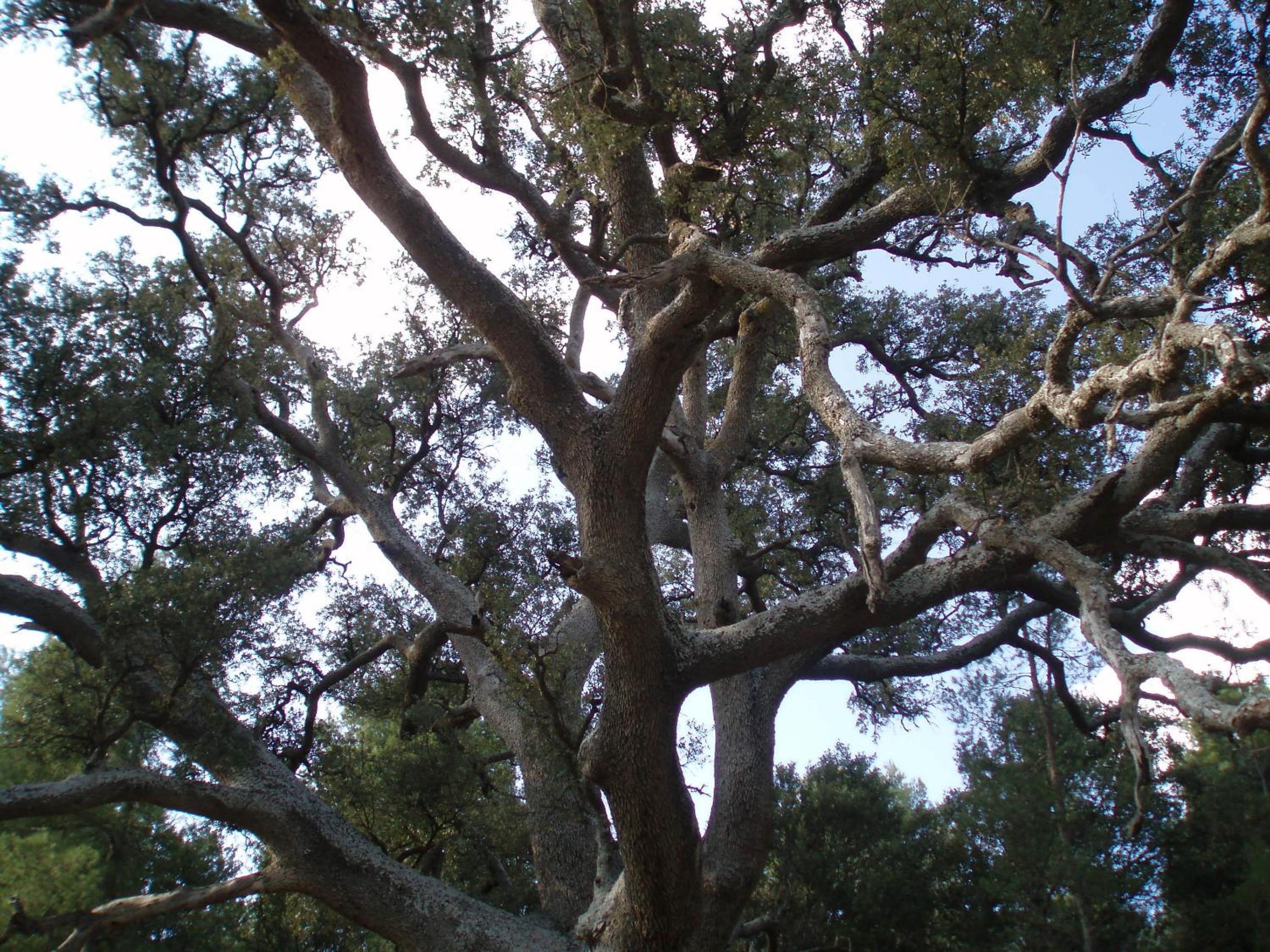 Photo 47