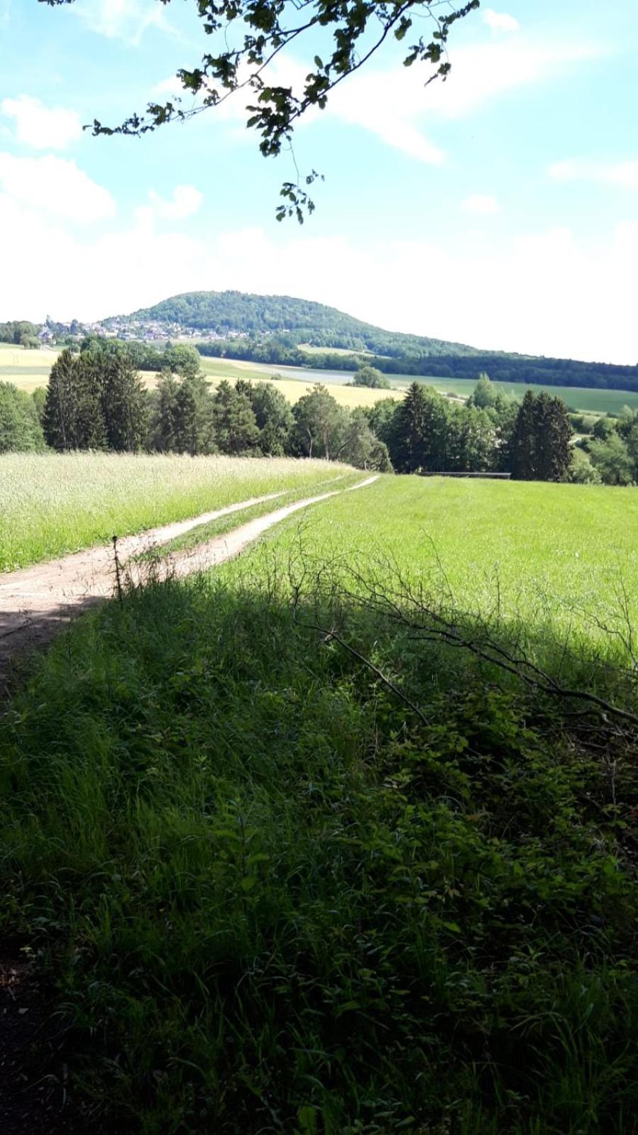 Gasthaus Zur Burgschänke