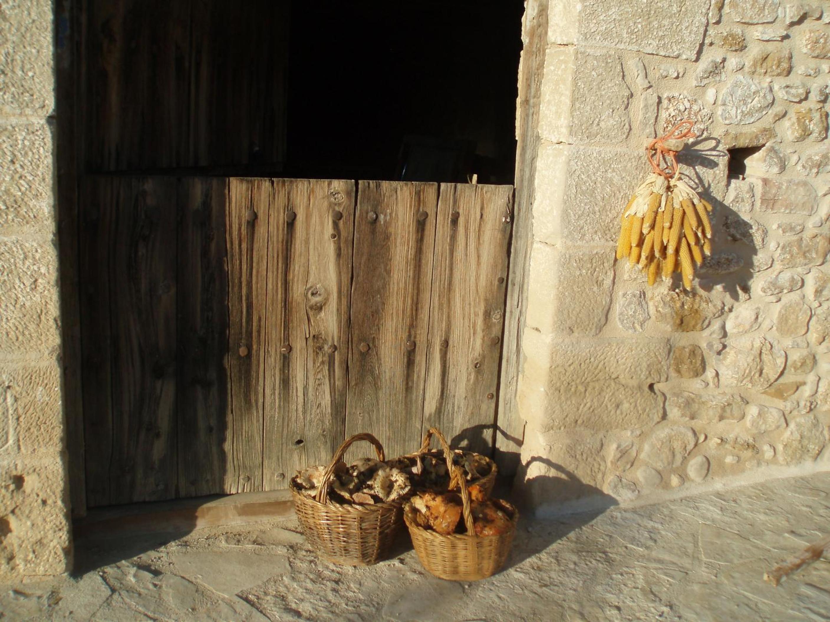 Photo 44