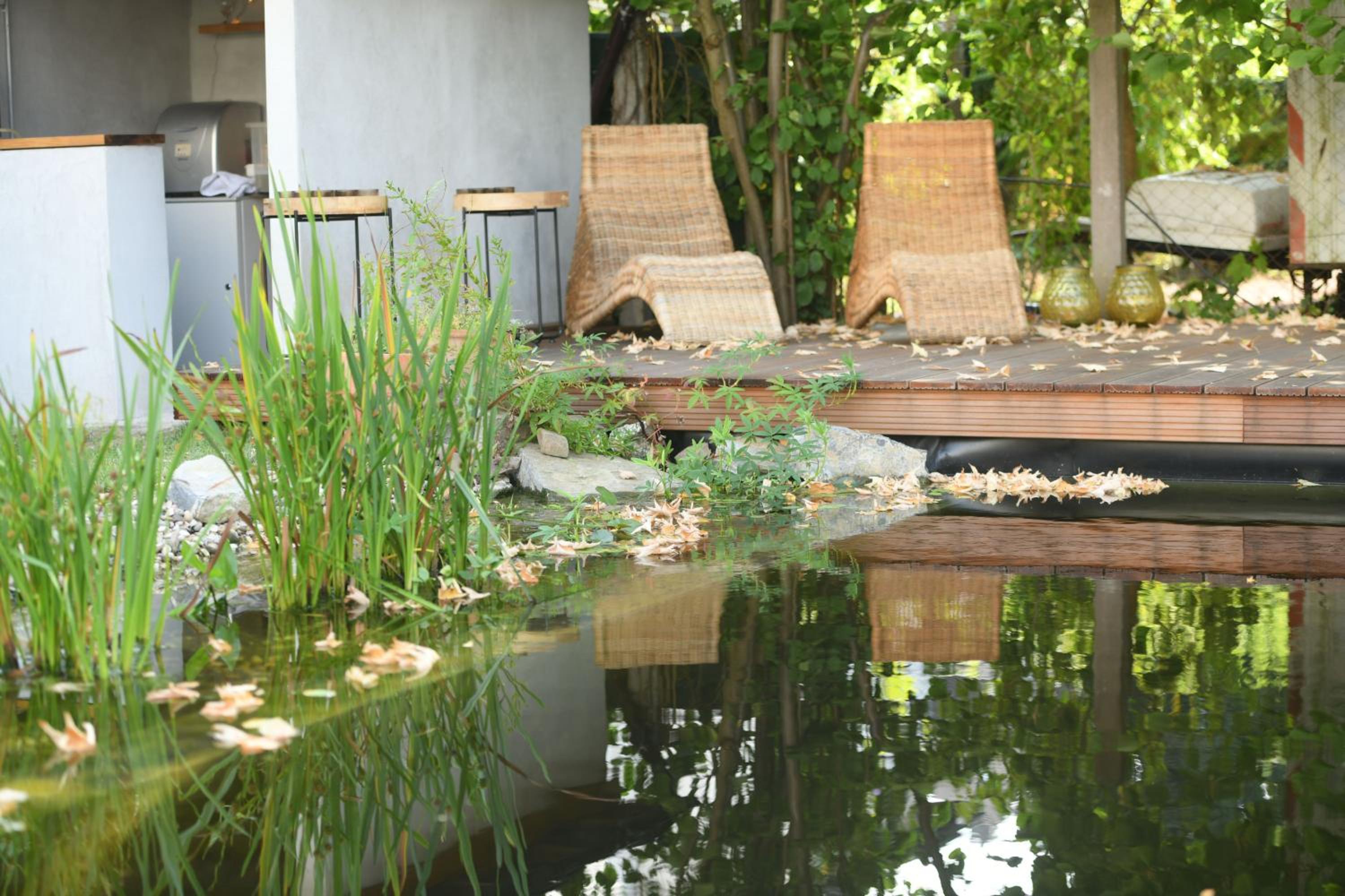 Villa Knoche