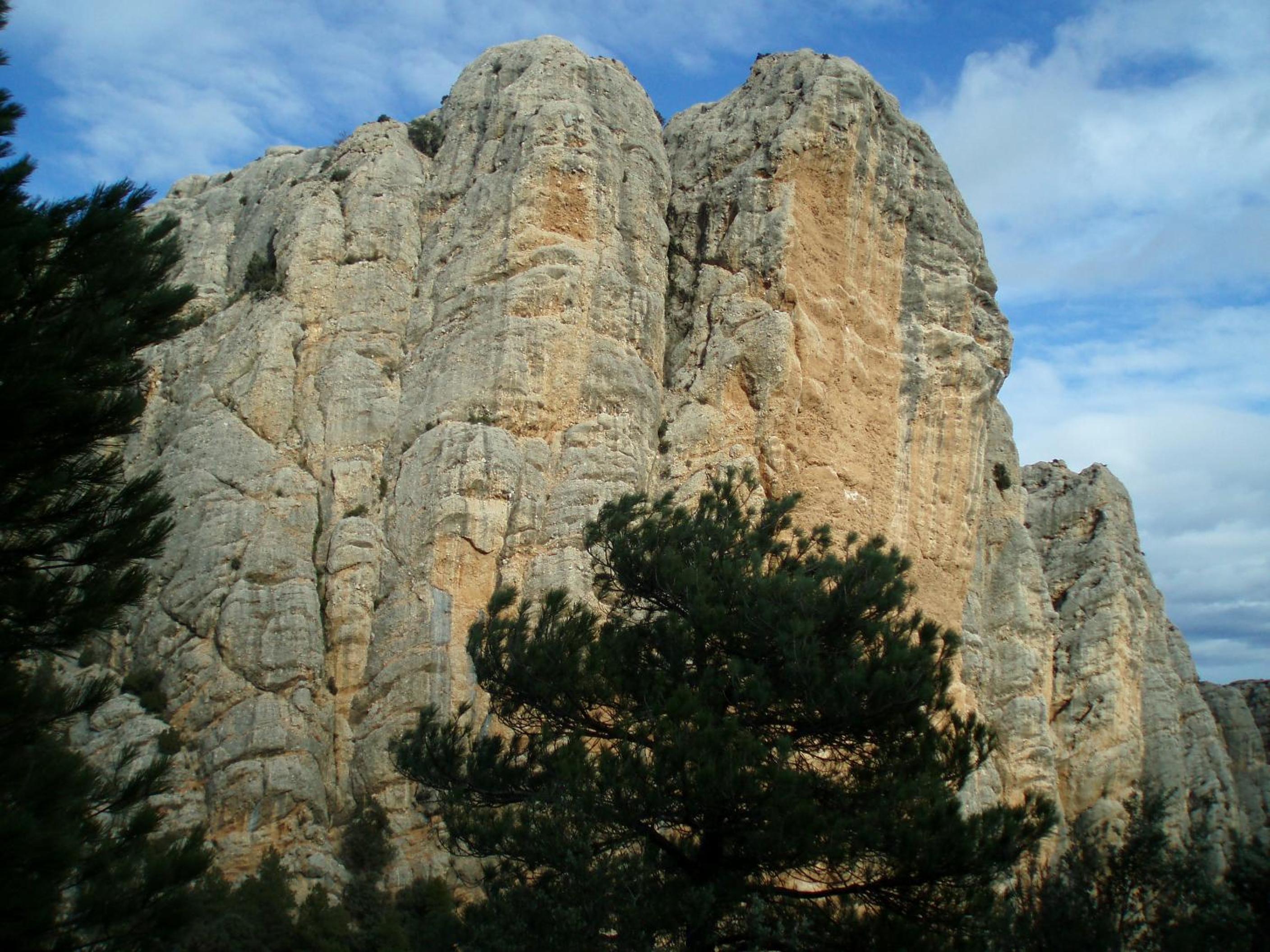 Photo 43